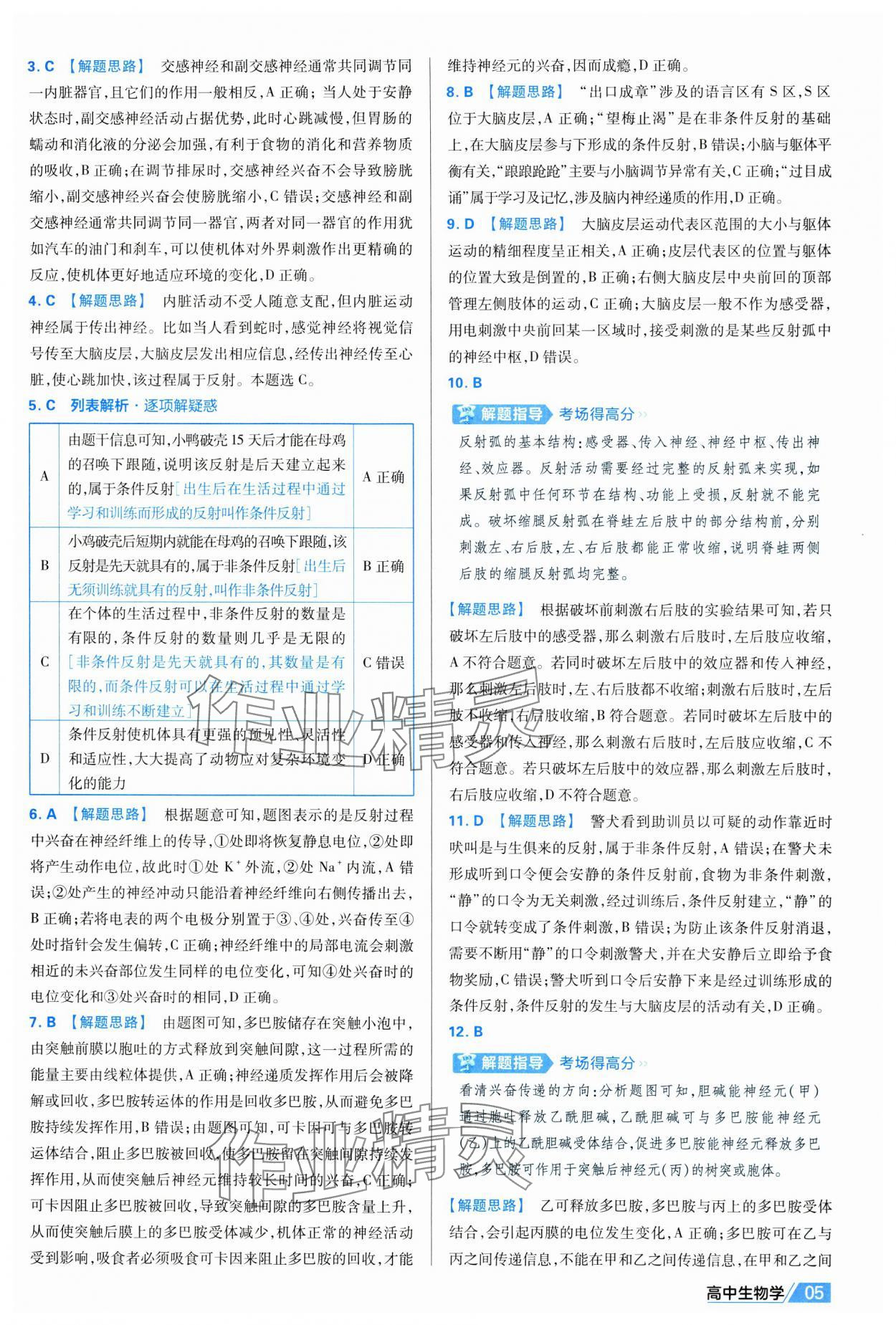 2025年金考卷活页题选高中生物选择性必修1人教版 第5页