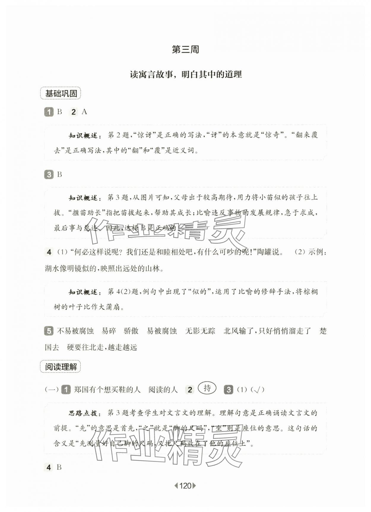 2025年華東師大版一課一練三年級語文下冊人教版增強版五四制 參考答案第6頁