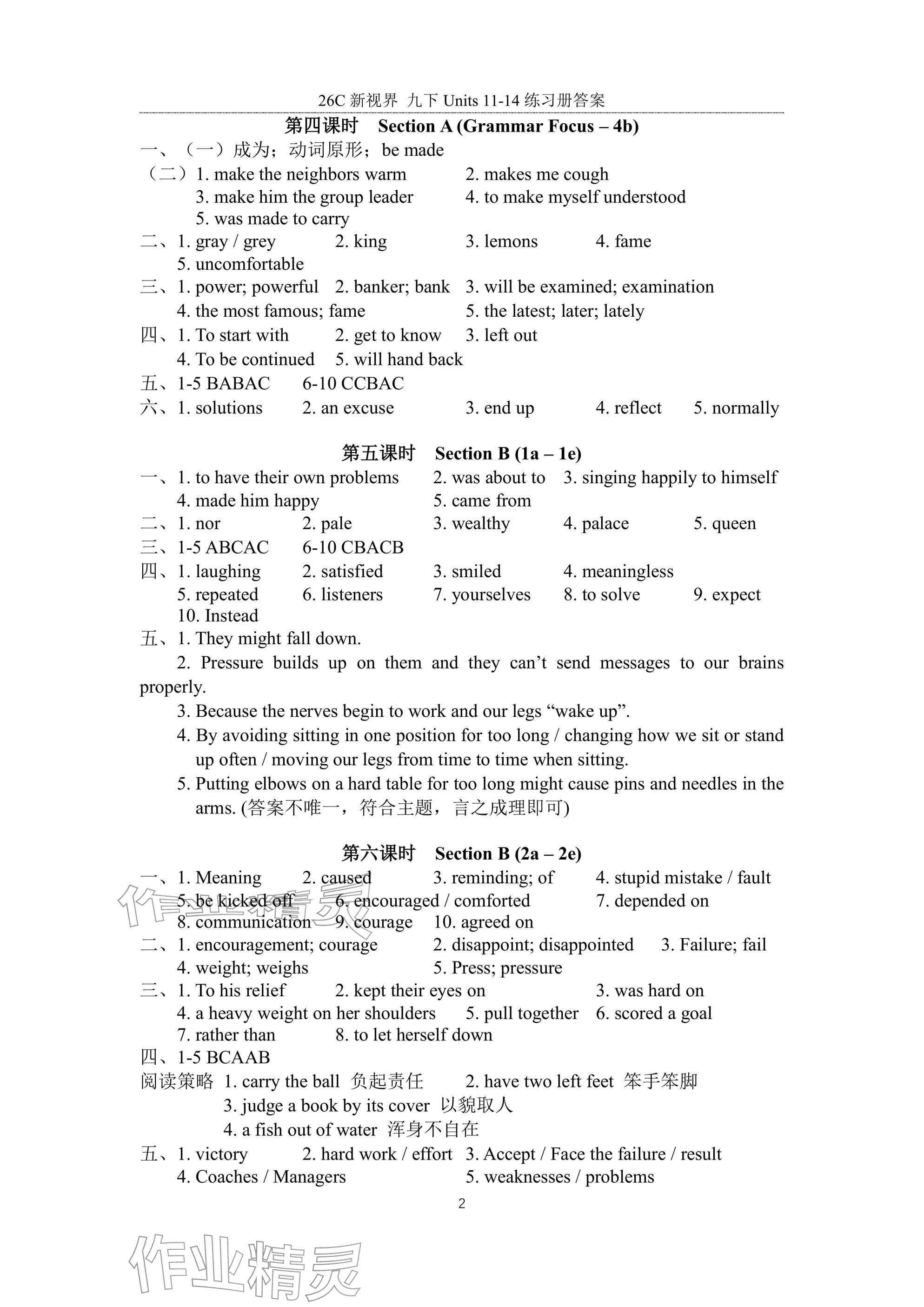 2026年新视界初中英语九年级英语下册人教版&nbsp;参考答案第2页