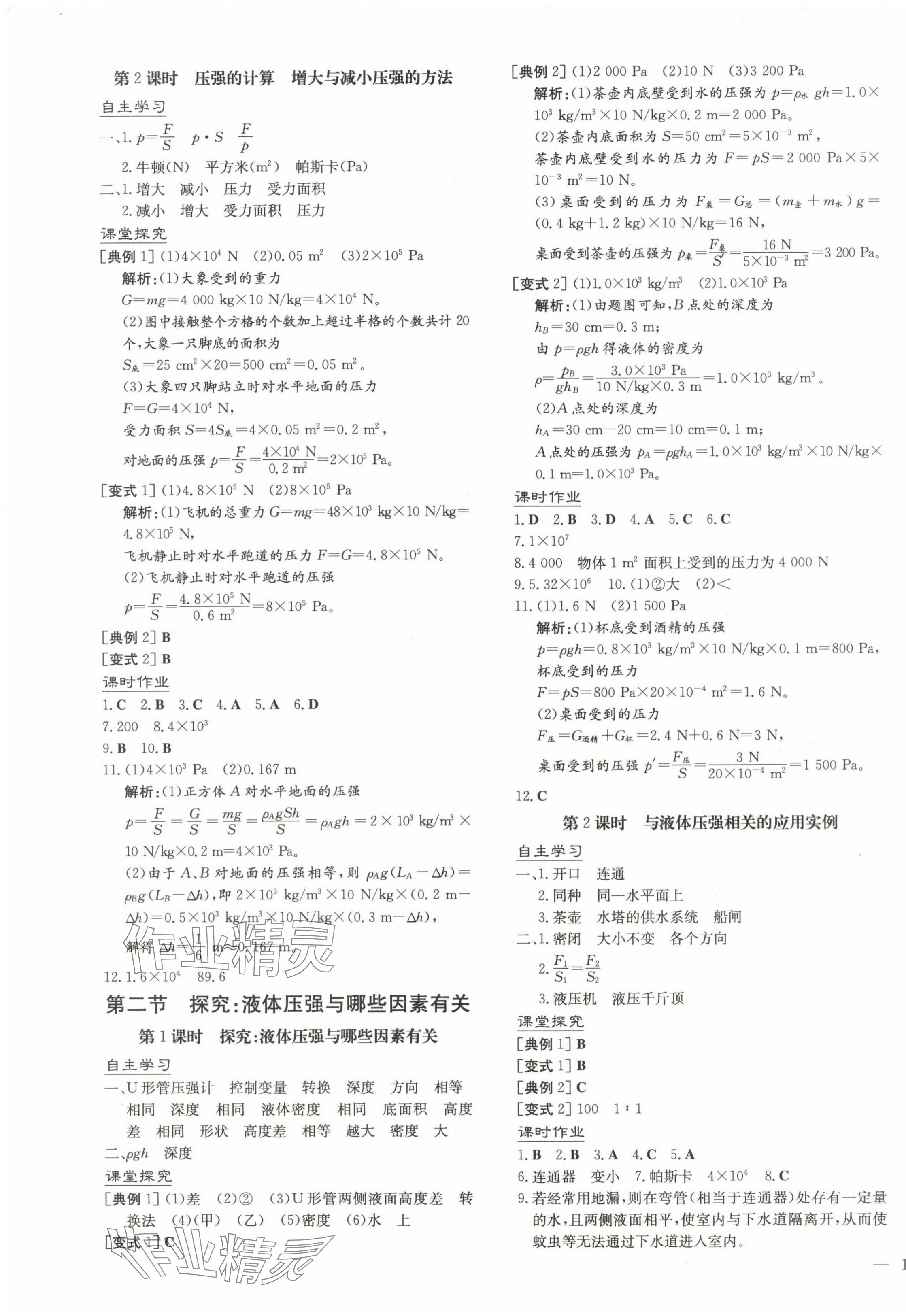 2025年初中同步學習導與練導學探究案八年級物理下冊滬科版 第3頁