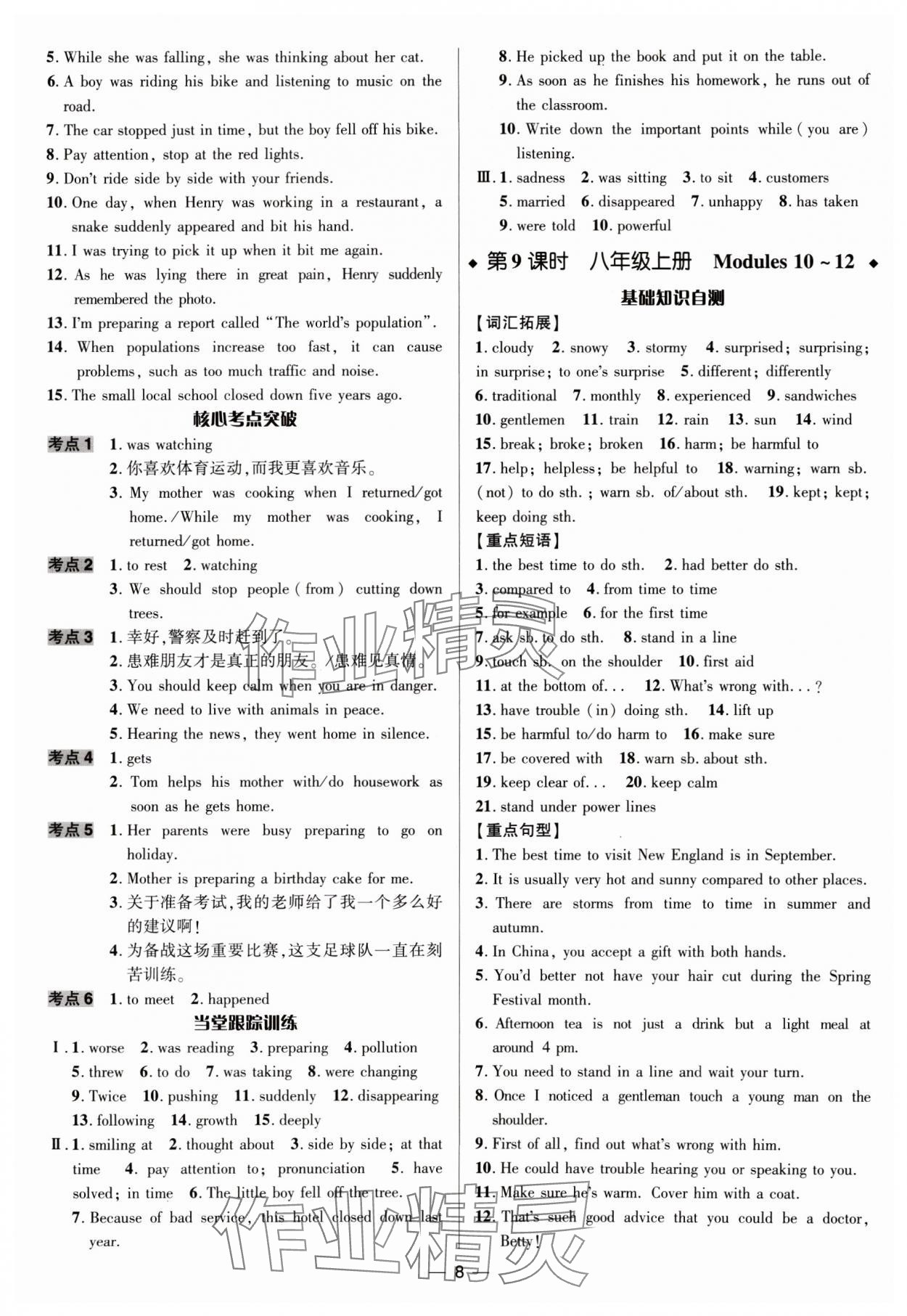 2025年中考對策英語外研版濰坊專版&nbsp;參考答案第8頁