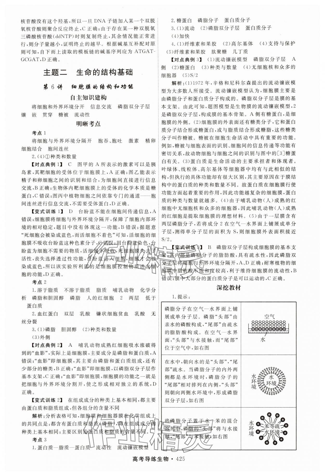 2025年北斗星高考導(dǎo)練生物 第5頁