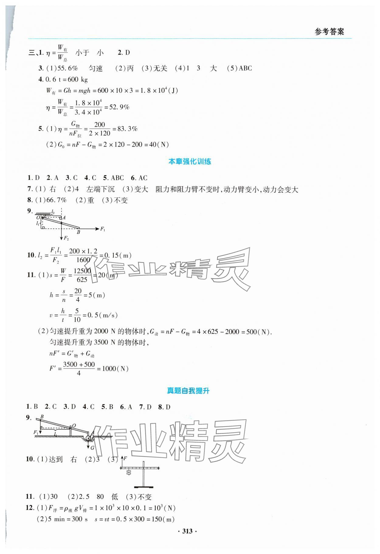 2024年初中畢業(yè)升學(xué)復(fù)習(xí)指導(dǎo)物理 參考答案第12頁(yè)