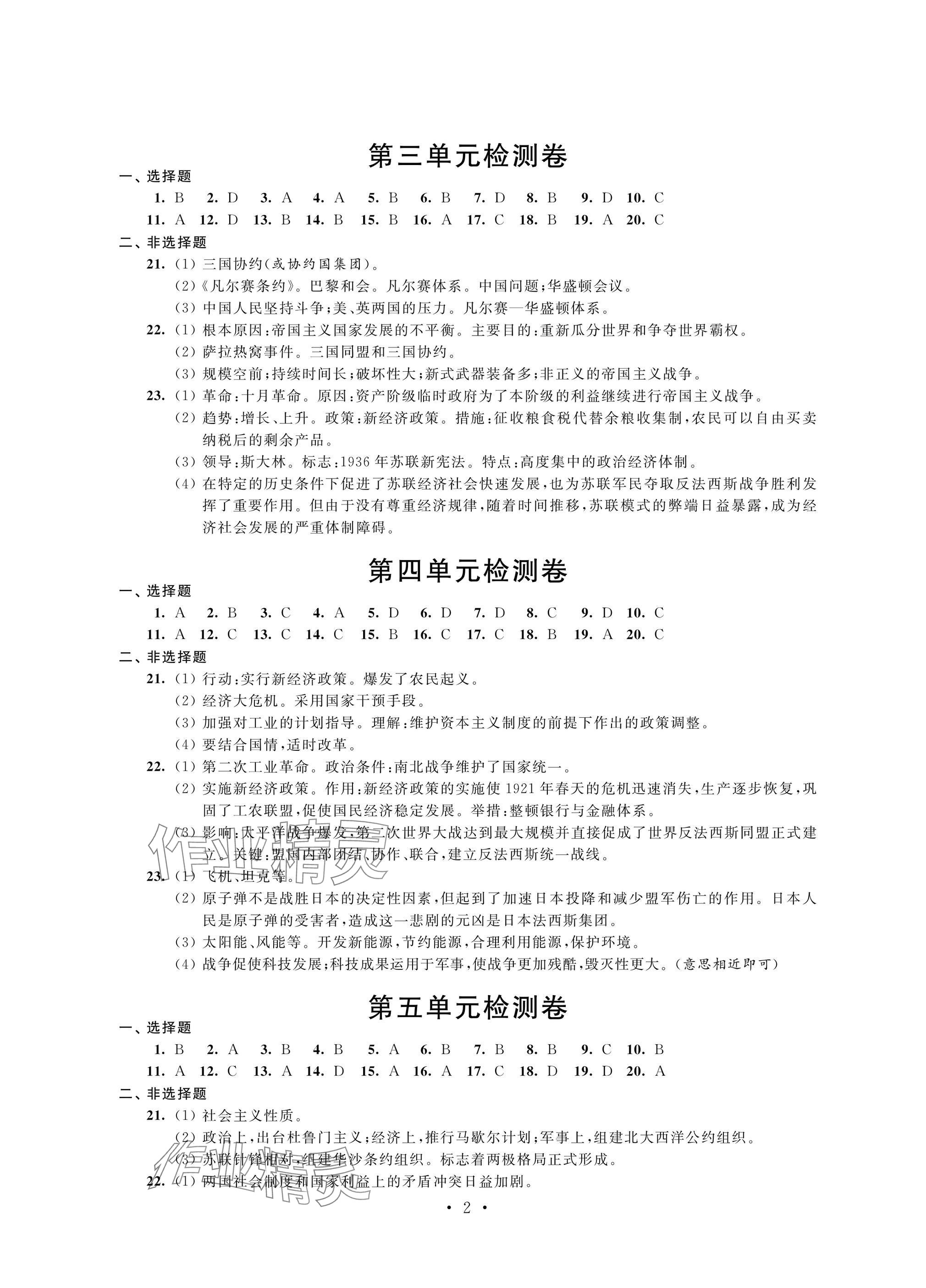2025年绿色成长互动空间配套练习九年级历史下册人教版 参考答案第2页