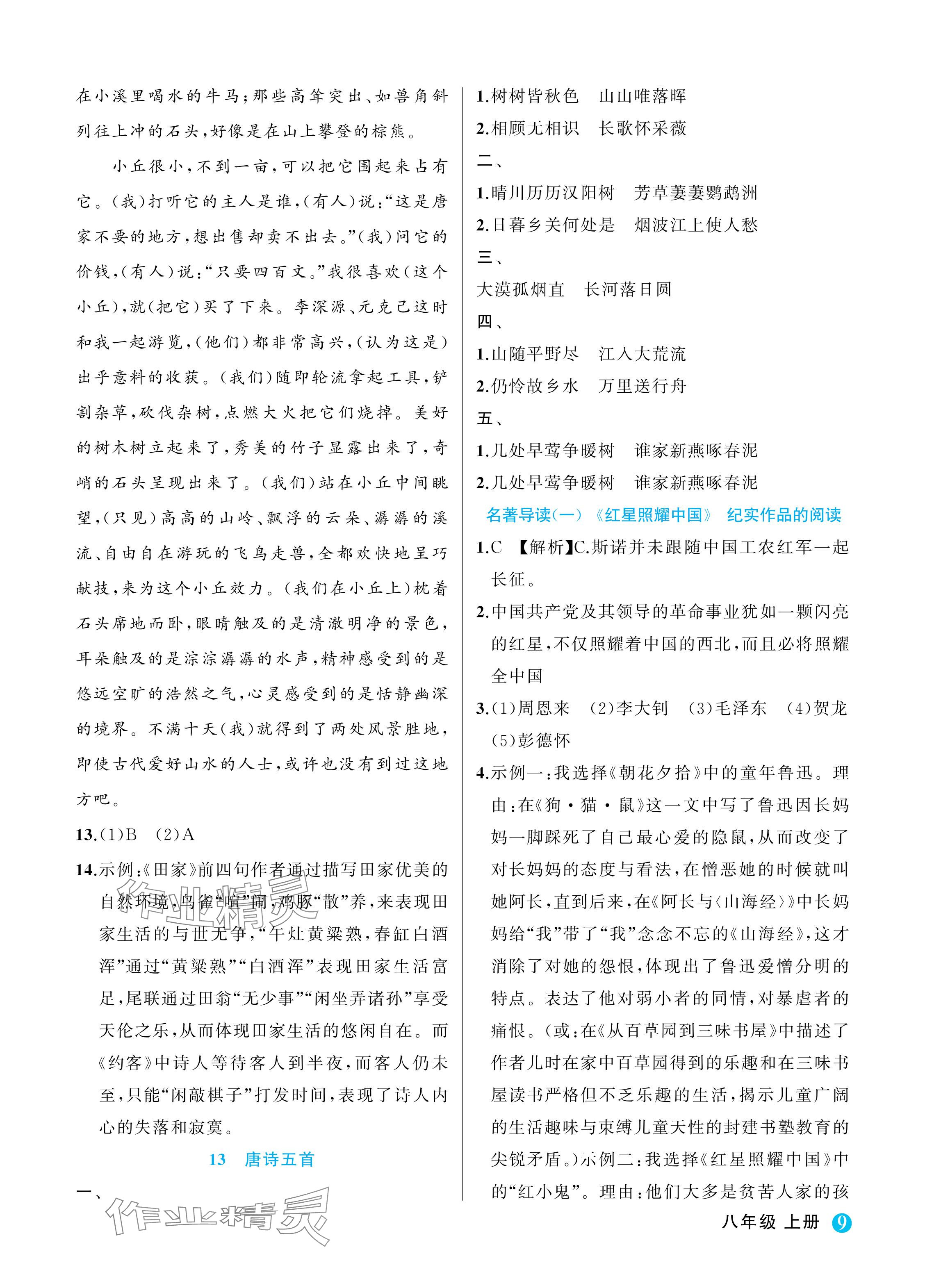 2024年名師面對(duì)面學(xué)科素養(yǎng)評(píng)價(jià)八年級(jí)語(yǔ)文上冊(cè)人教版 參考答案第9頁(yè)