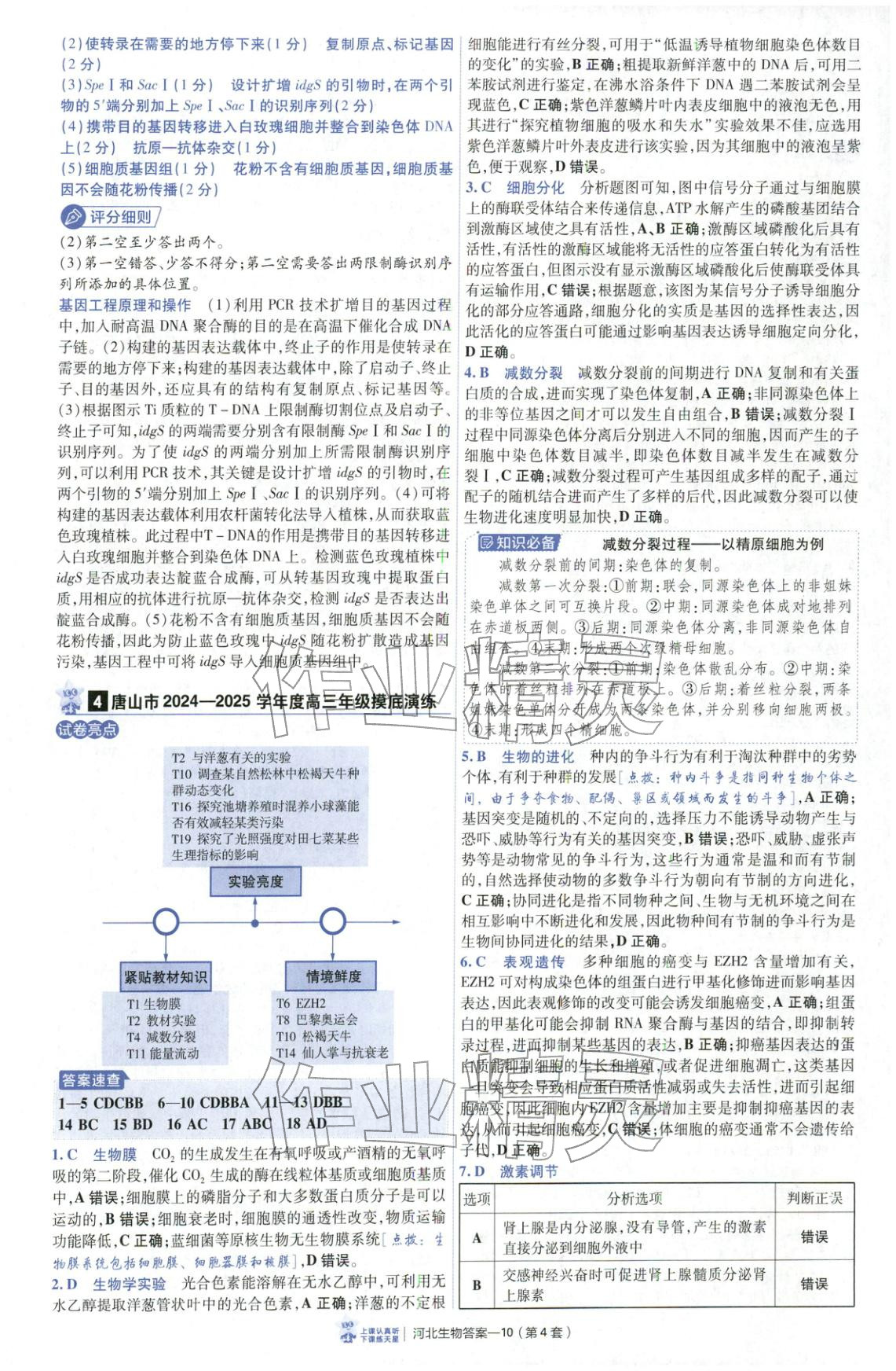 2026年金考卷优秀模拟试卷汇编45套高中生物河北专版 第10页