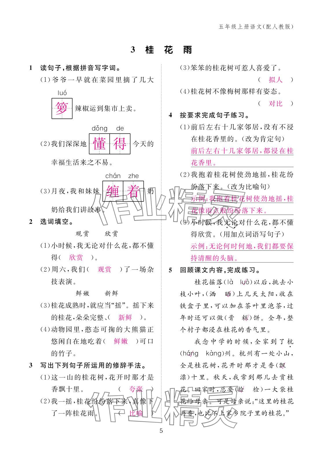 2025年作业本江西教育出版社五年级语文上册人教版 参考答案第5页