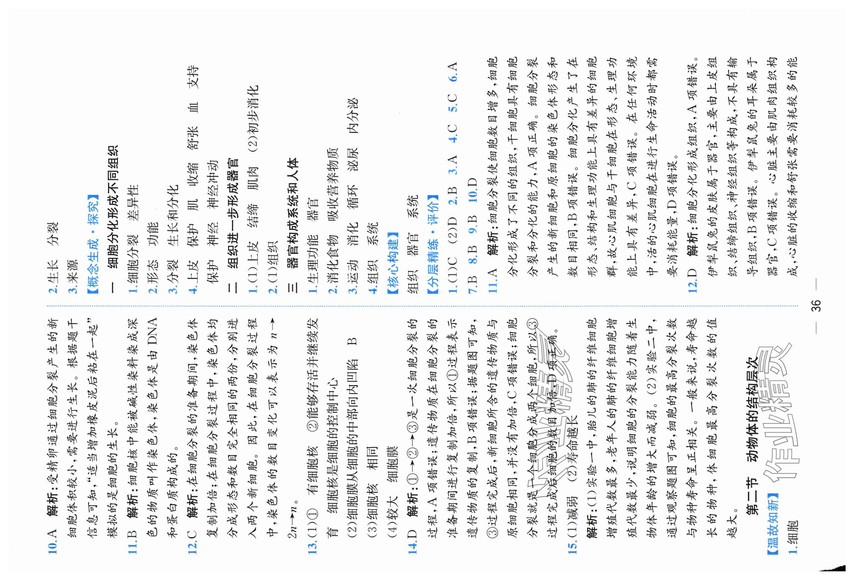 2025年课时练人民教育出版社七年级生物上册人教版 第8页