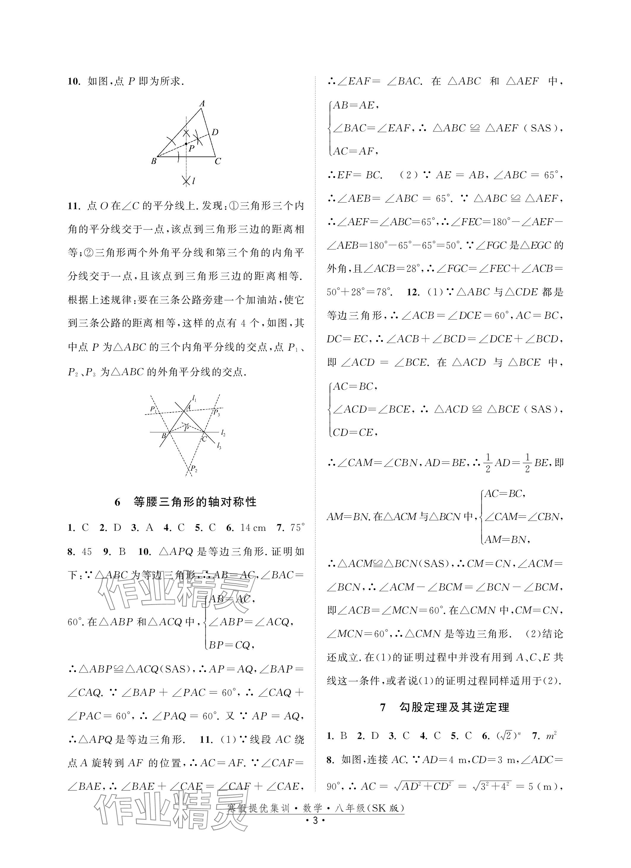 2024年寒假提優(yōu)集訓(xùn)20天八年級(jí)數(shù)學(xué)蘇科版 參考答案第3頁