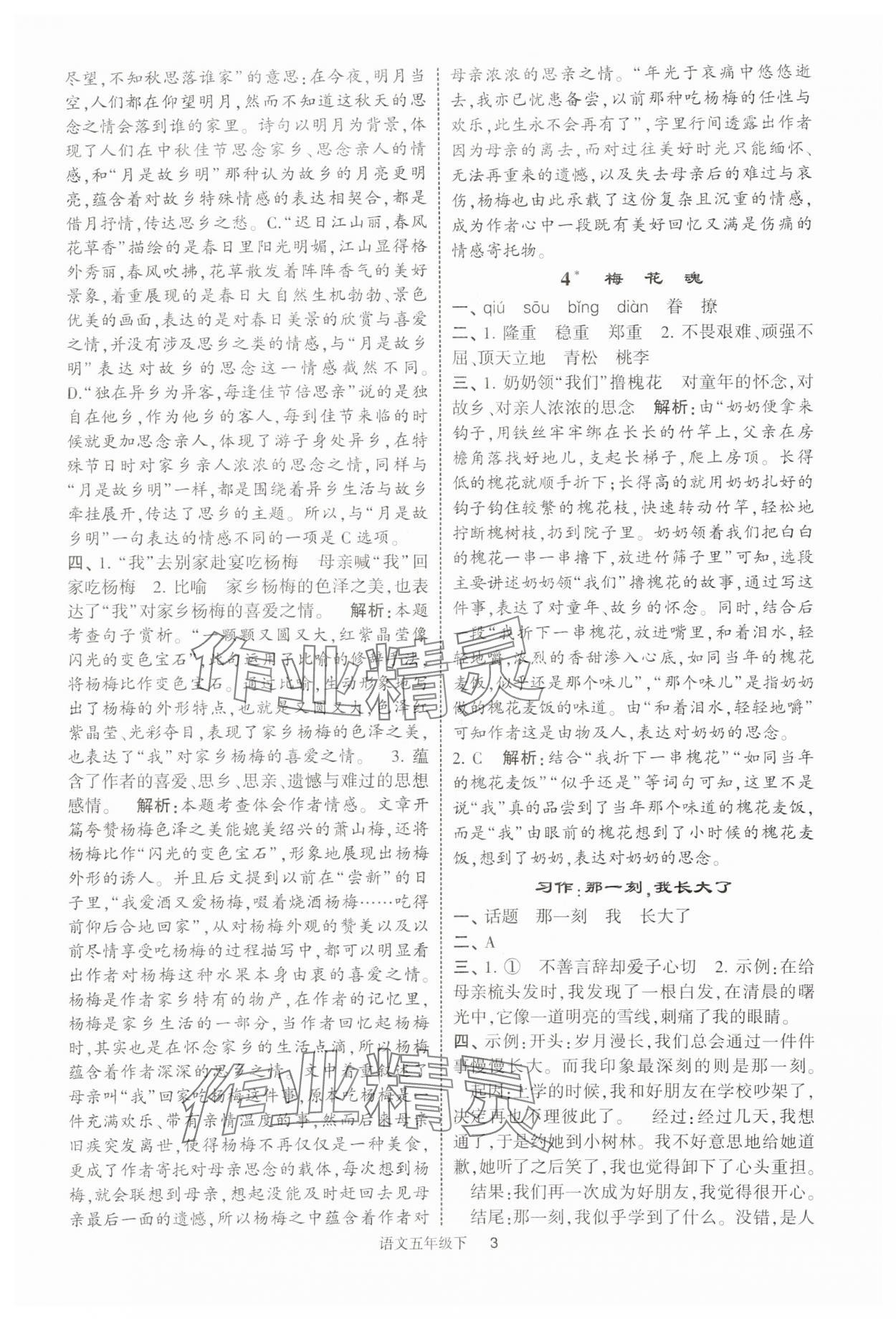 2025年經(jīng)綸學典提高班五年級語文下冊人教版浙江專版 第3頁