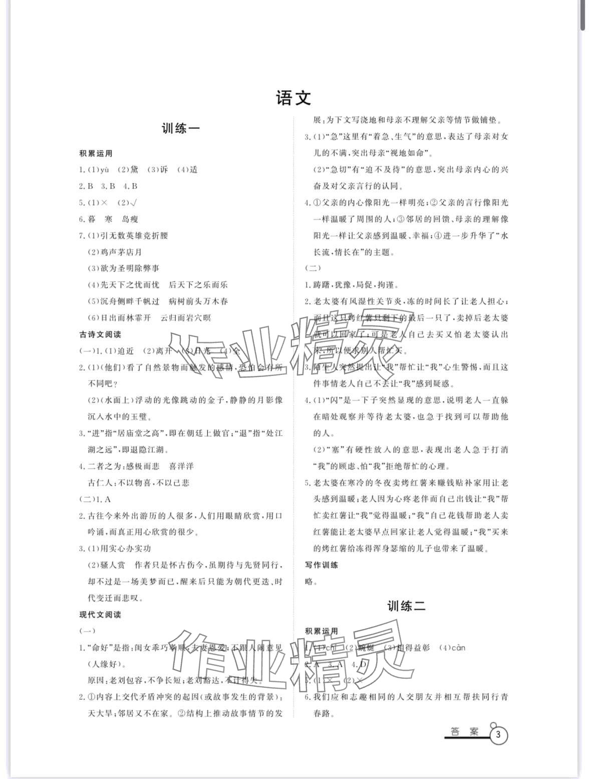 2024年寒假作業(yè)山東文藝出版社九年級(jí) 第3頁