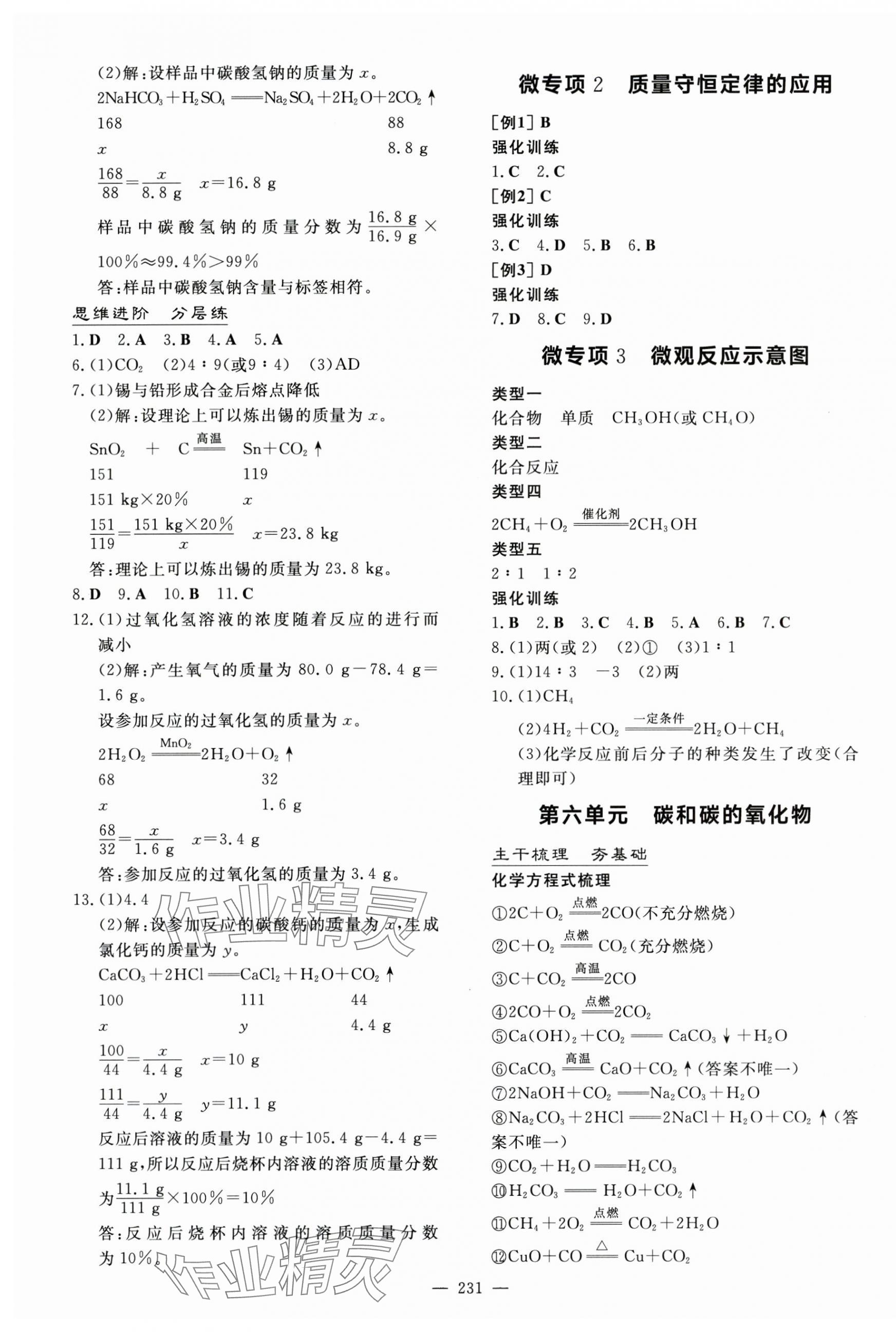 2025年中考總復(fù)習(xí)導(dǎo)與練化學(xué)四川專版 第5頁