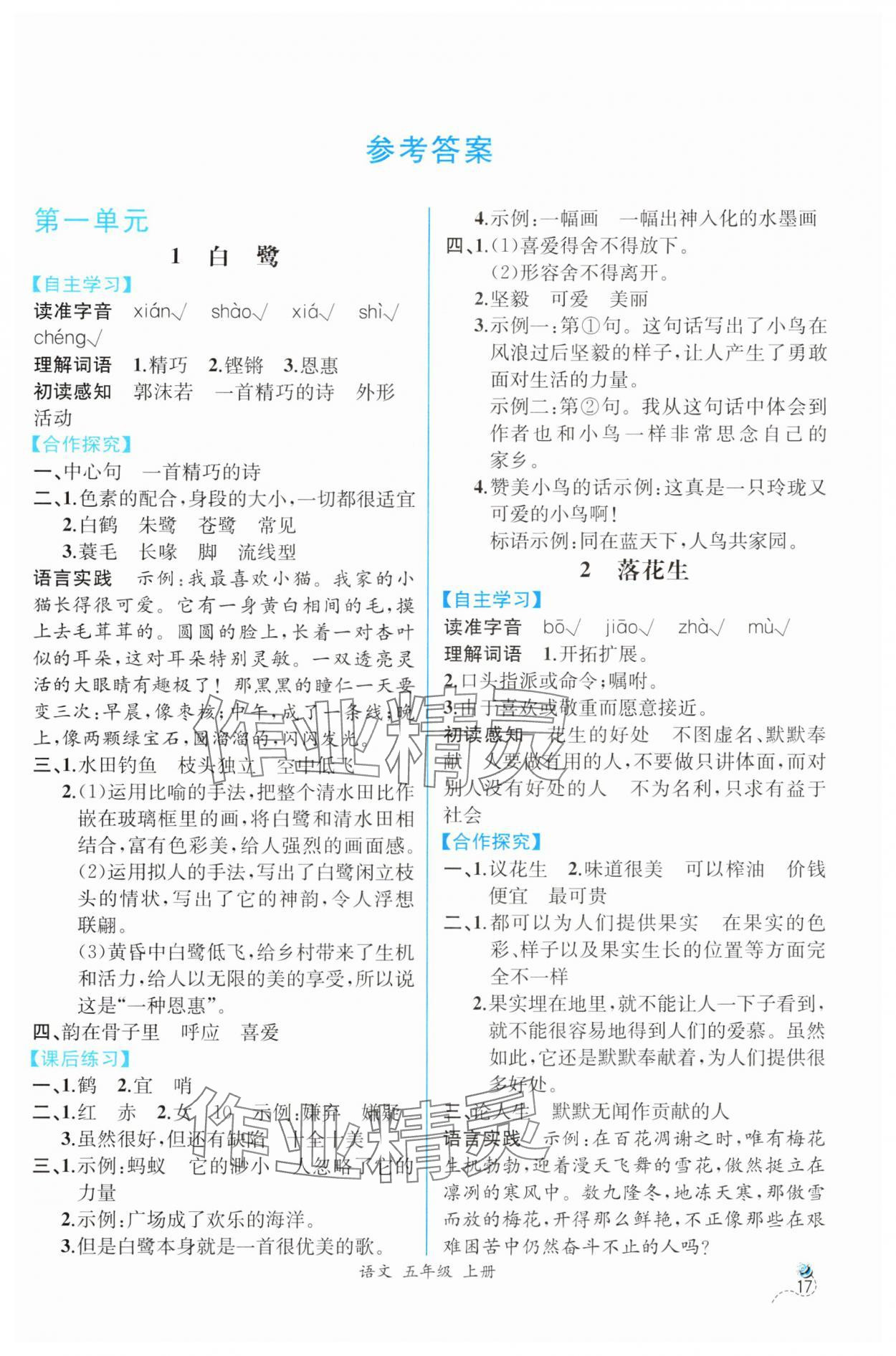 2024年人教金學(xué)典同步解析與測(cè)評(píng)五年級(jí)語(yǔ)文上冊(cè)人教版云南專版 第1頁(yè)