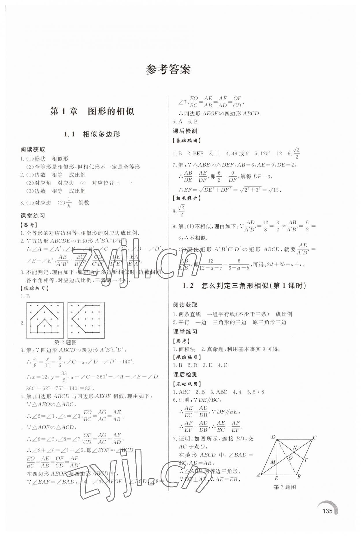 2023年同步練習(xí)冊(cè)泰山出版社九年級(jí)數(shù)學(xué)上冊(cè)青島版 第1頁(yè)