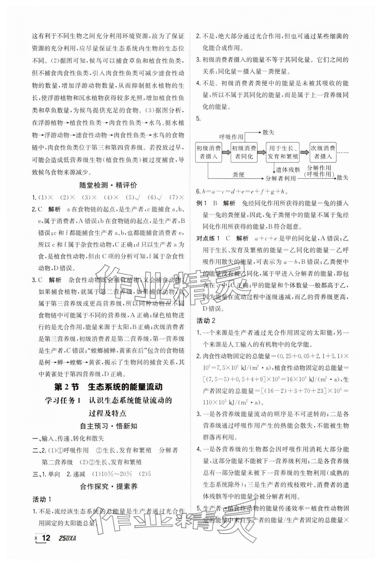 2025年金太陽導學案高中生物選擇性必修2人教版 參考答案第12頁