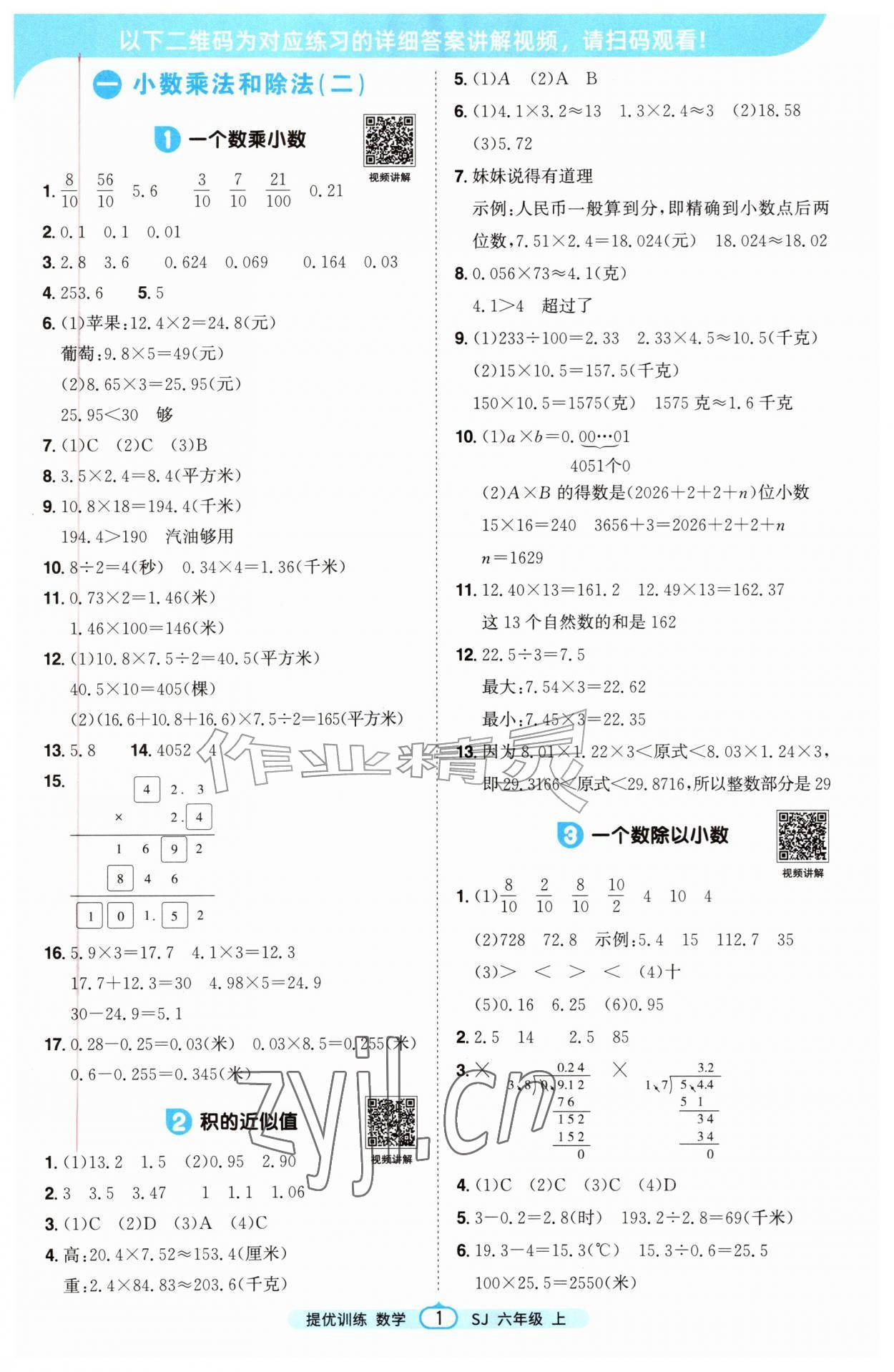 2026年阳光同学课时提优训练六年级数学上册苏教版&nbsp;第1页