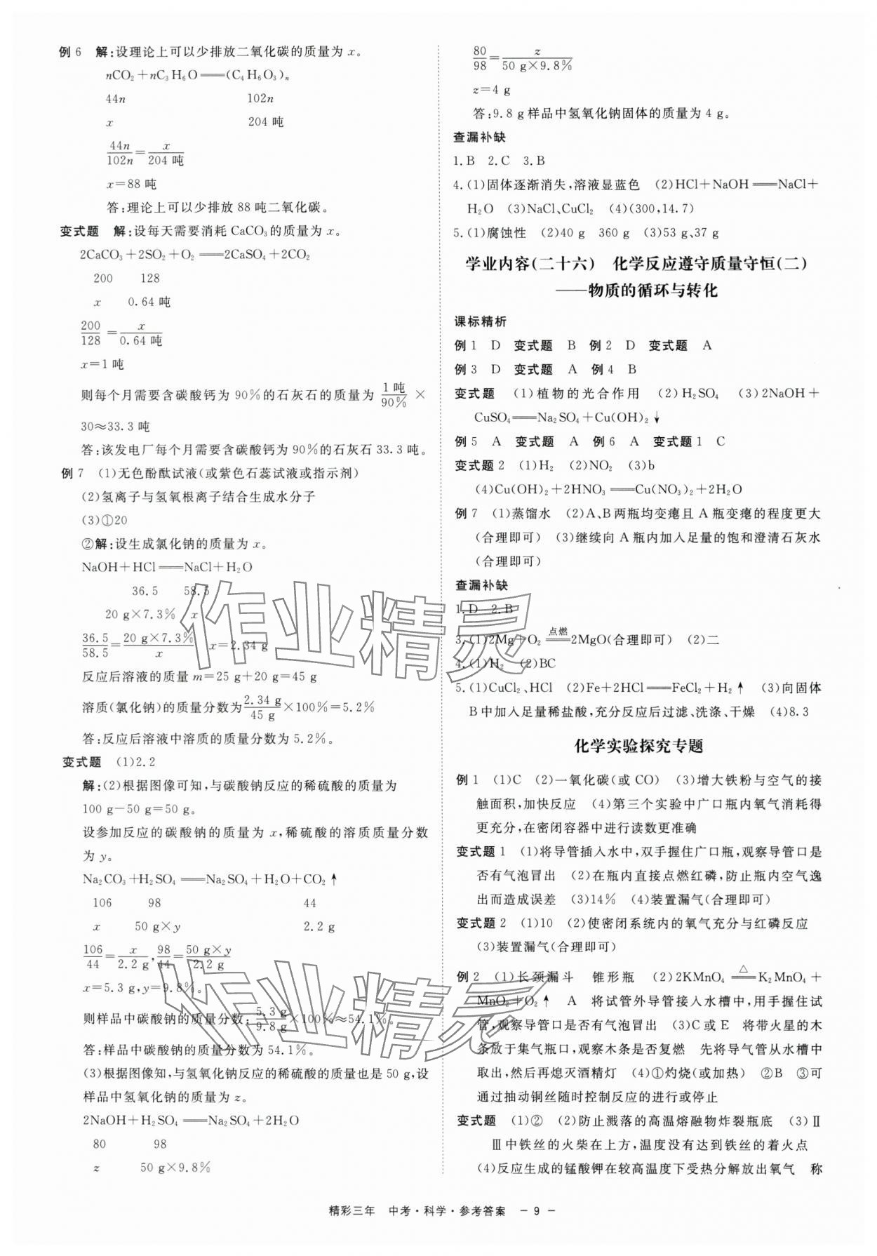 2024年精彩三年中考總復(fù)習(xí)科學(xué) 第9頁(yè)