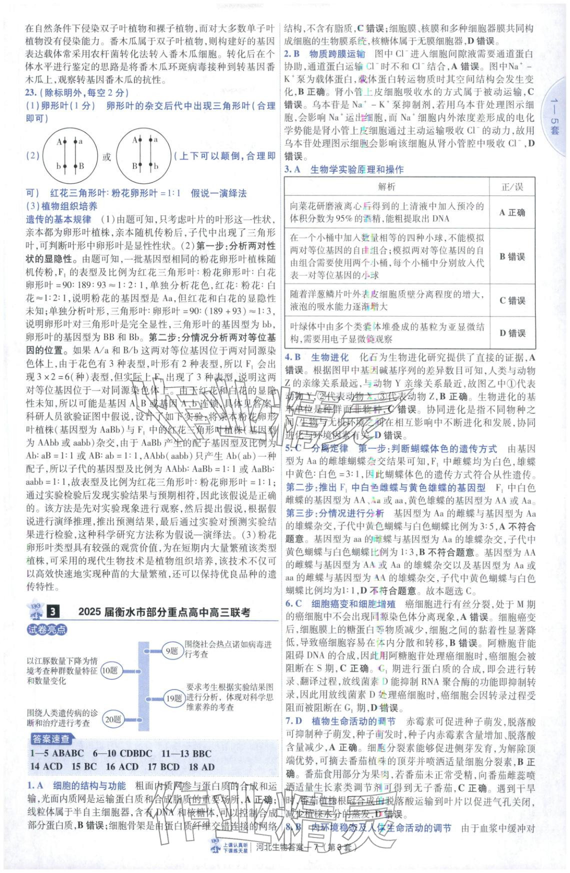 2026年金考卷优秀模拟试卷汇编45套高中生物河北专版 第7页