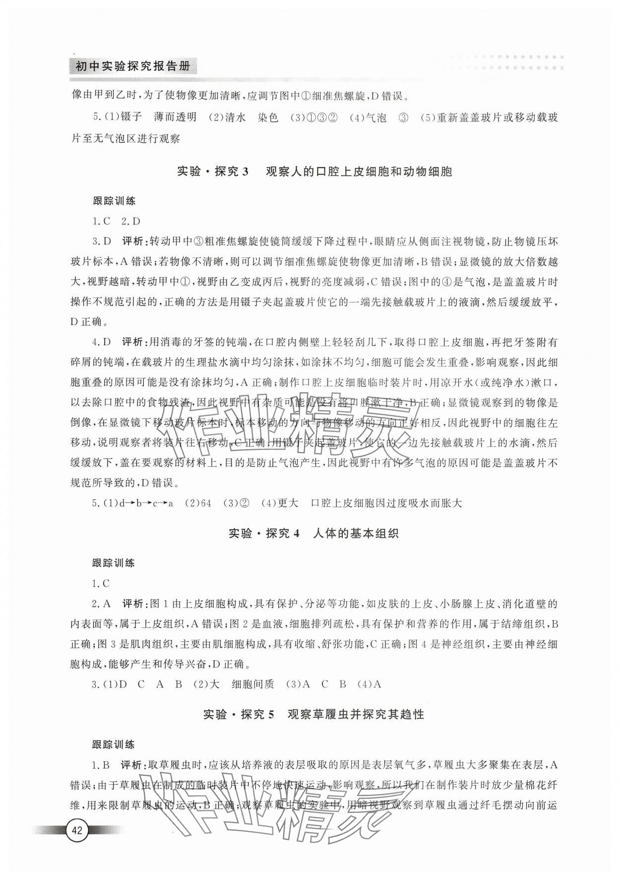 2024年初中实验探究报告册七年级生物人教版山东文艺出版社 第2页