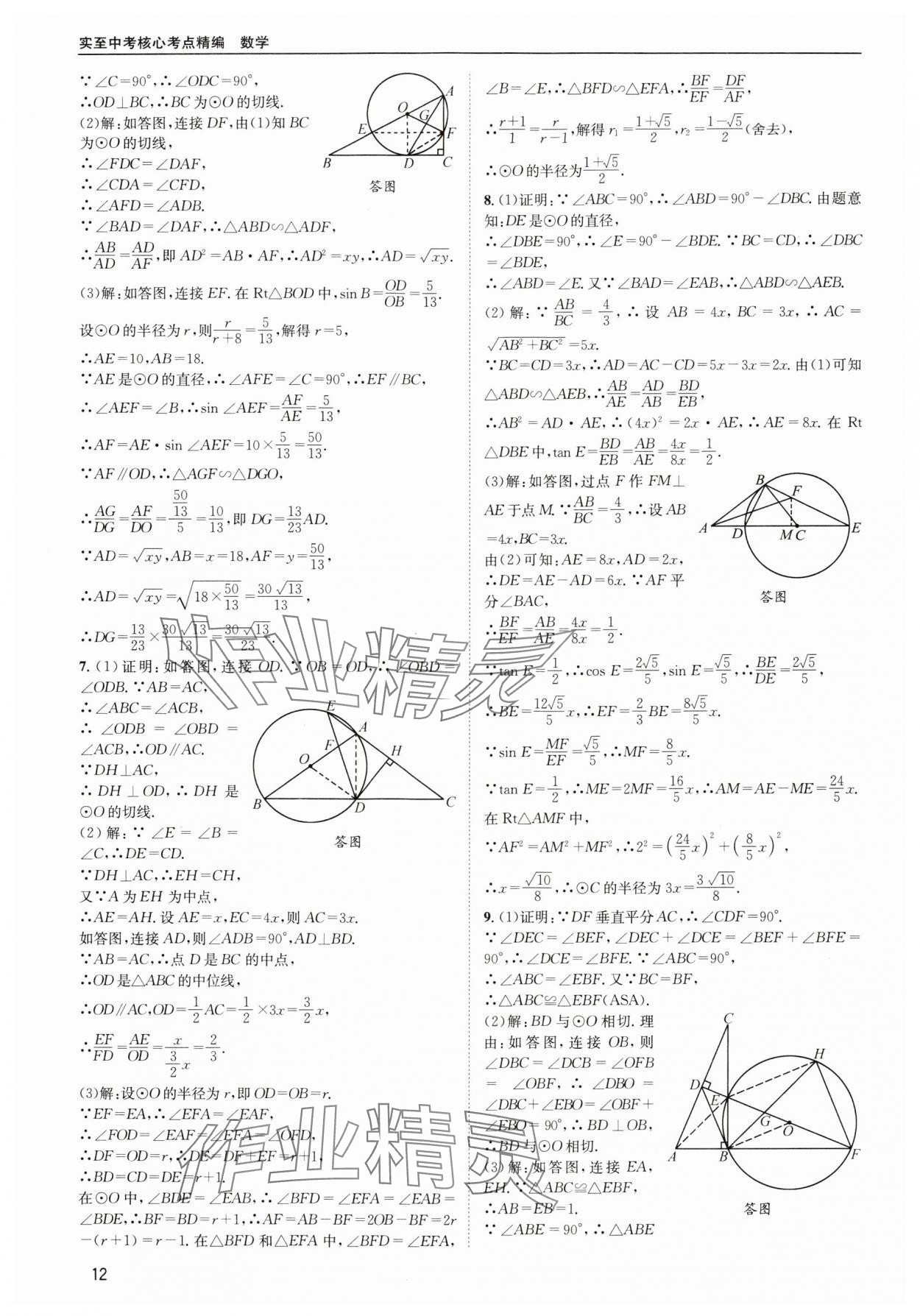 2024年中考核心考點(diǎn)精編數(shù)學(xué)成都專(zhuān)版 第12頁(yè)