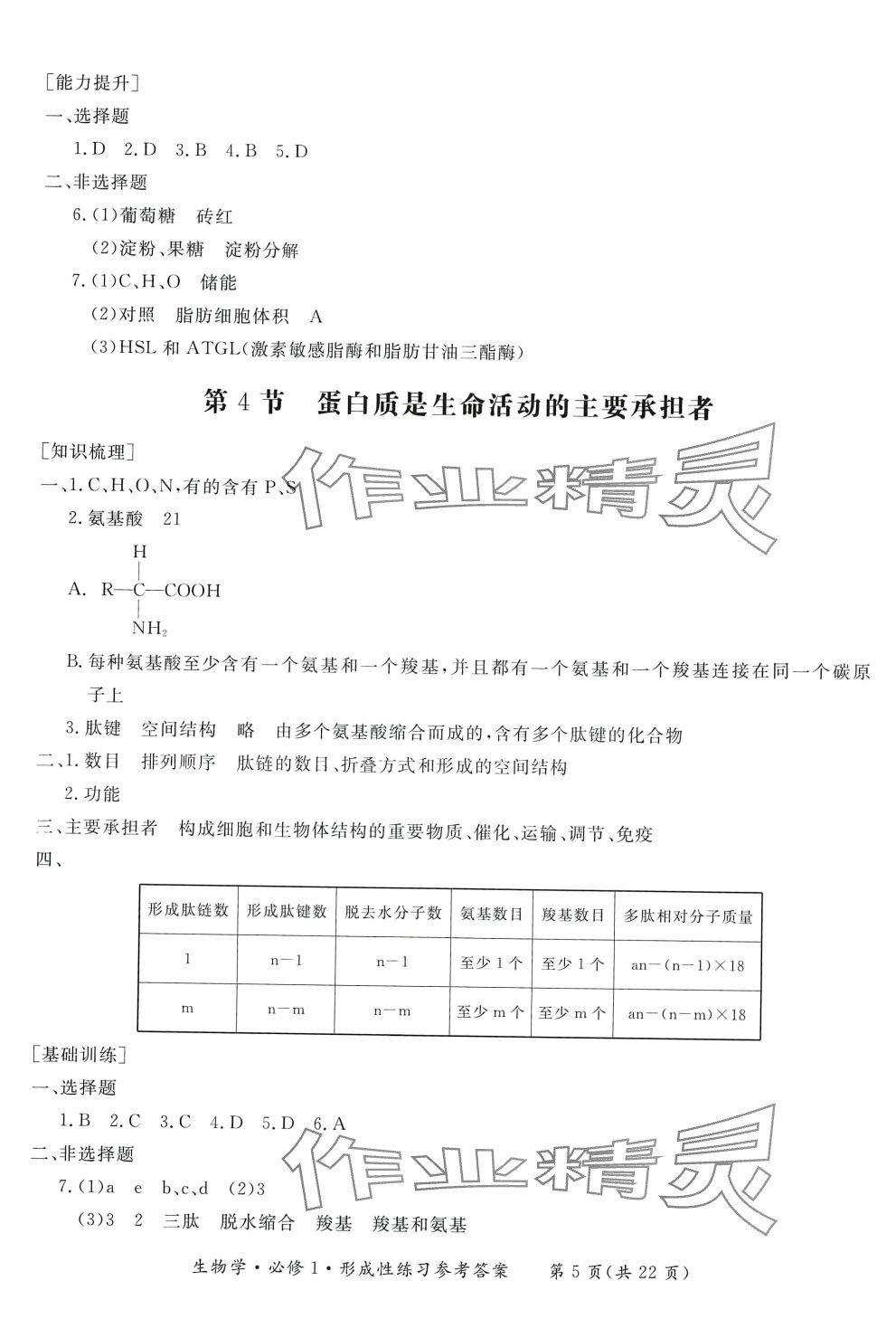 2024年形成性練習(xí)與檢測(cè)高中生物必修1 第5頁(yè)