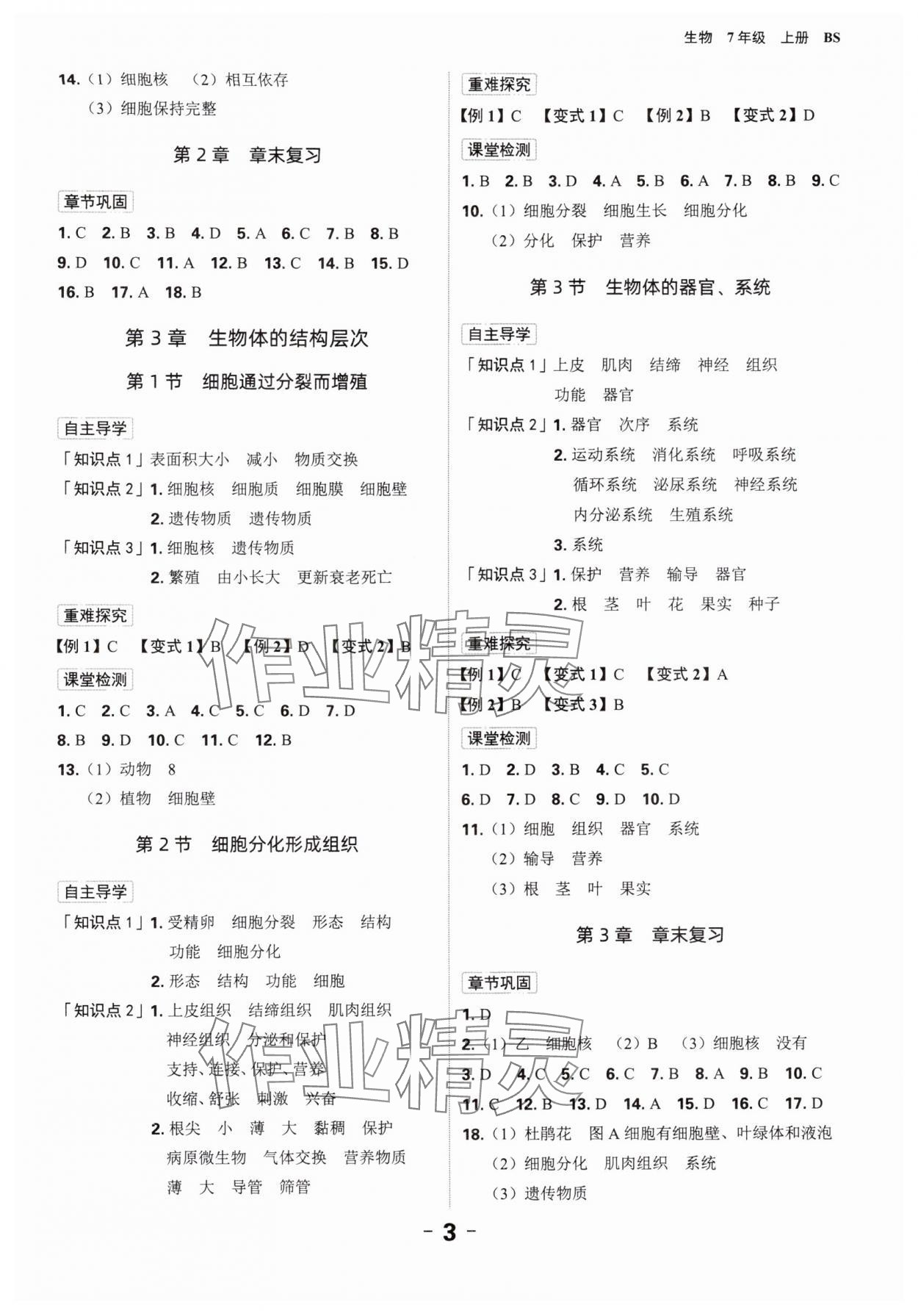 2024年全程突破七年級生物上冊北師大版 第3頁