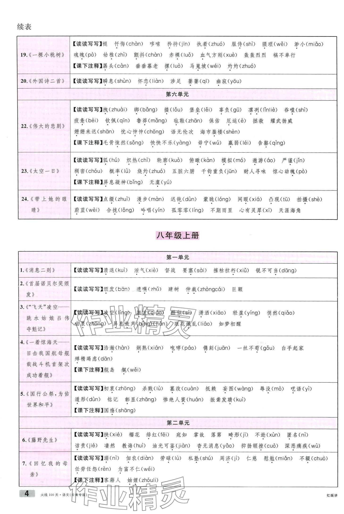 2024年火線100天語文中考云南專版 第4頁