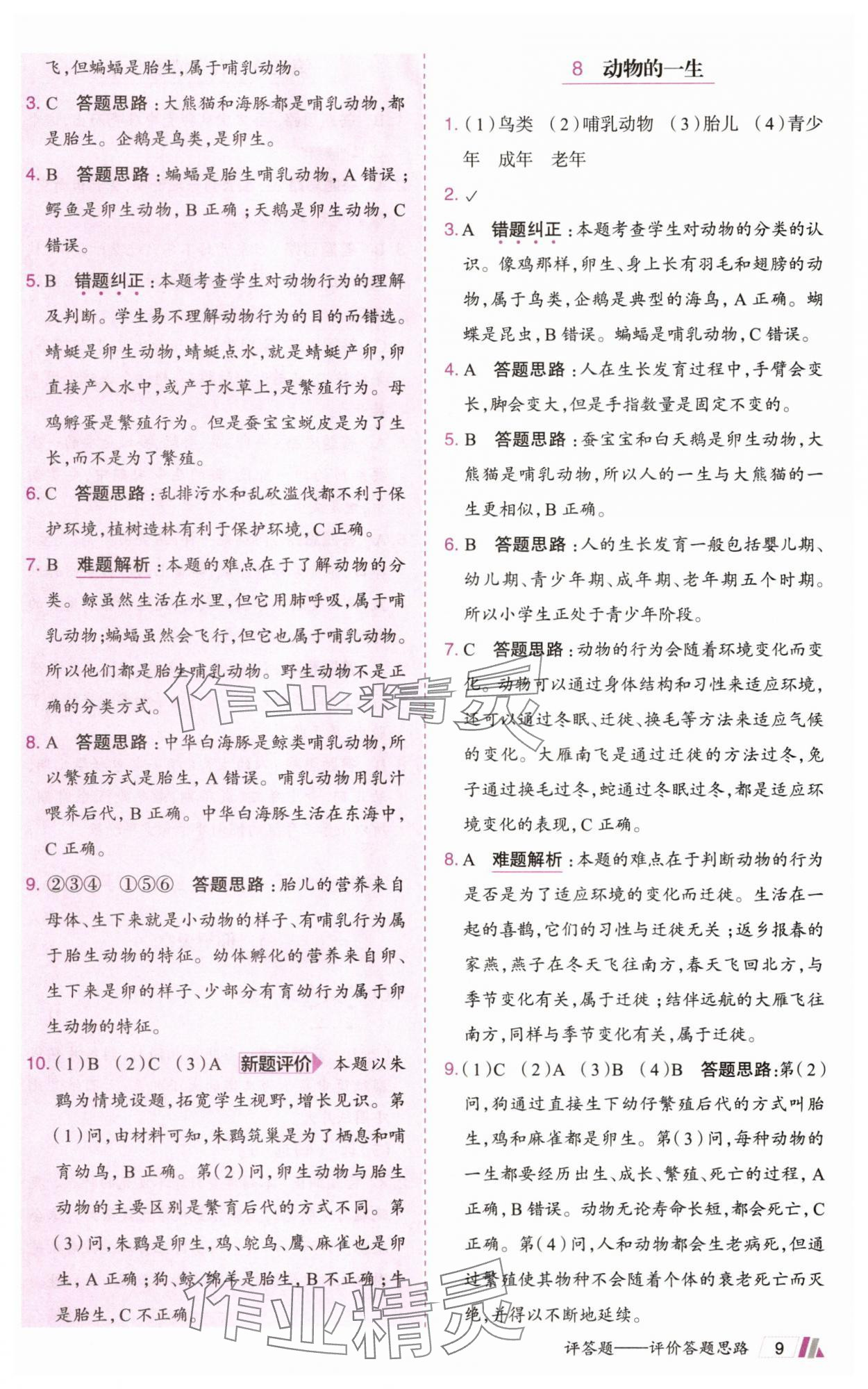 2025年动成长题题体现核心素养三年级科学下册教科版&nbsp;参考答案第9页