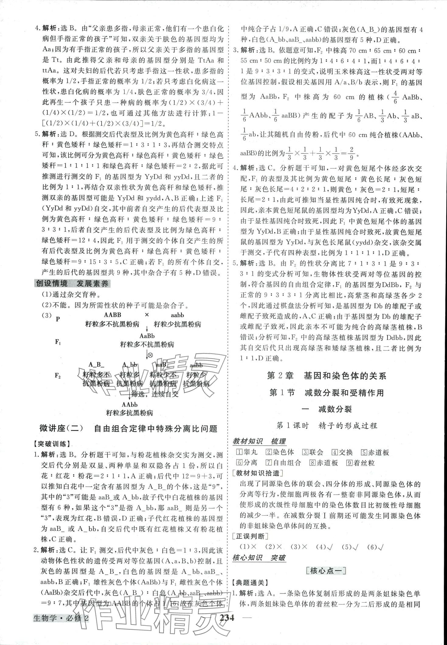 2024年高中同步創(chuàng)新課堂優(yōu)化方案高中生物必修2 第6頁