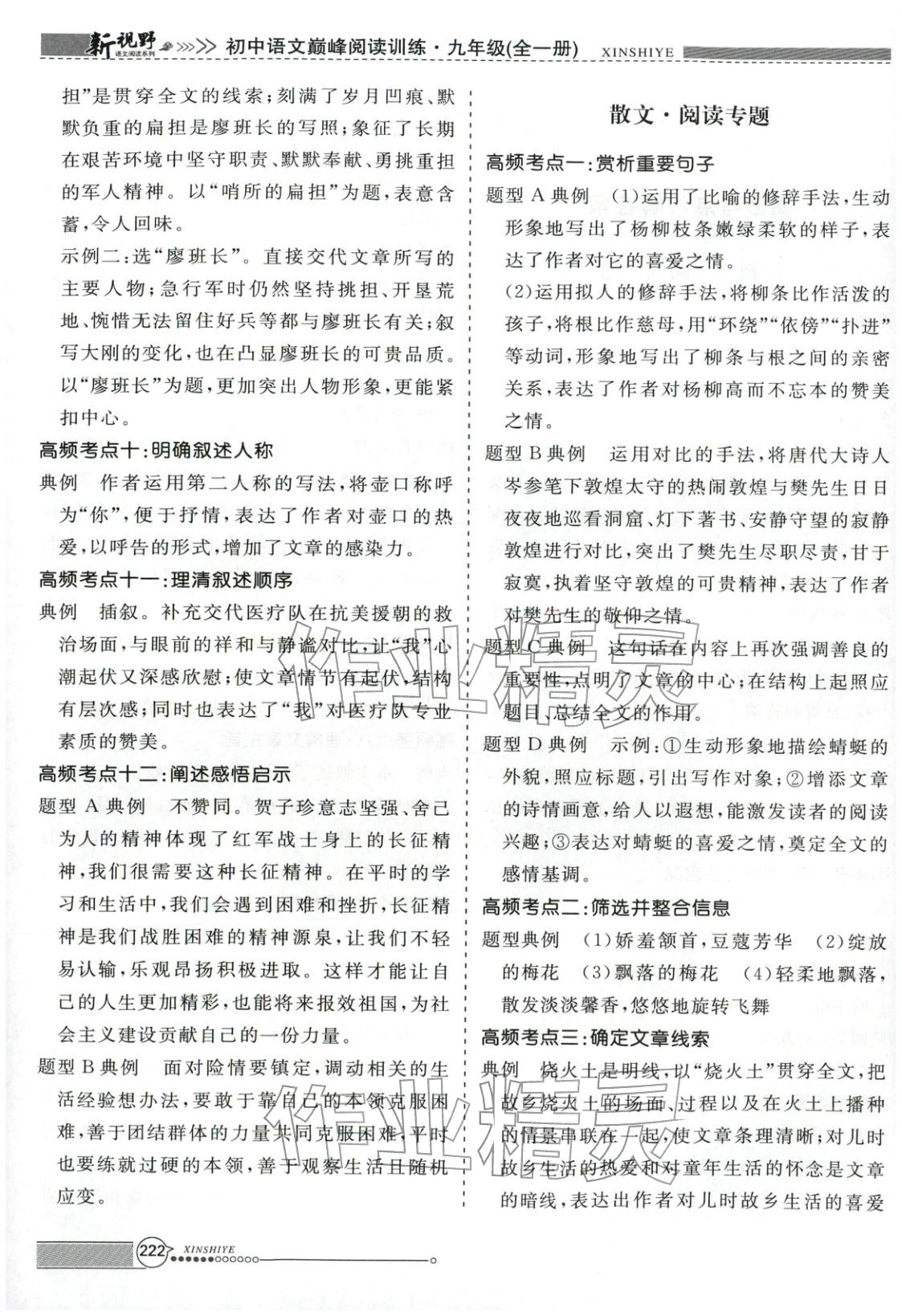 2026年新视野巅峰阅读训练九年级语文全一册人教版&nbsp;第2页