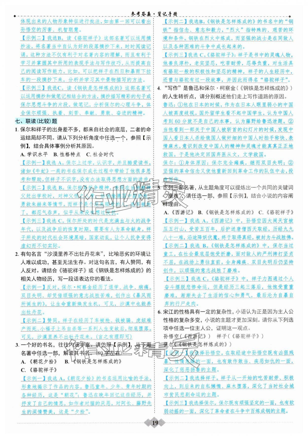 2025年達(dá)標(biāo)學(xué)案名著解讀一點(diǎn)通中考版 參考答案第18頁