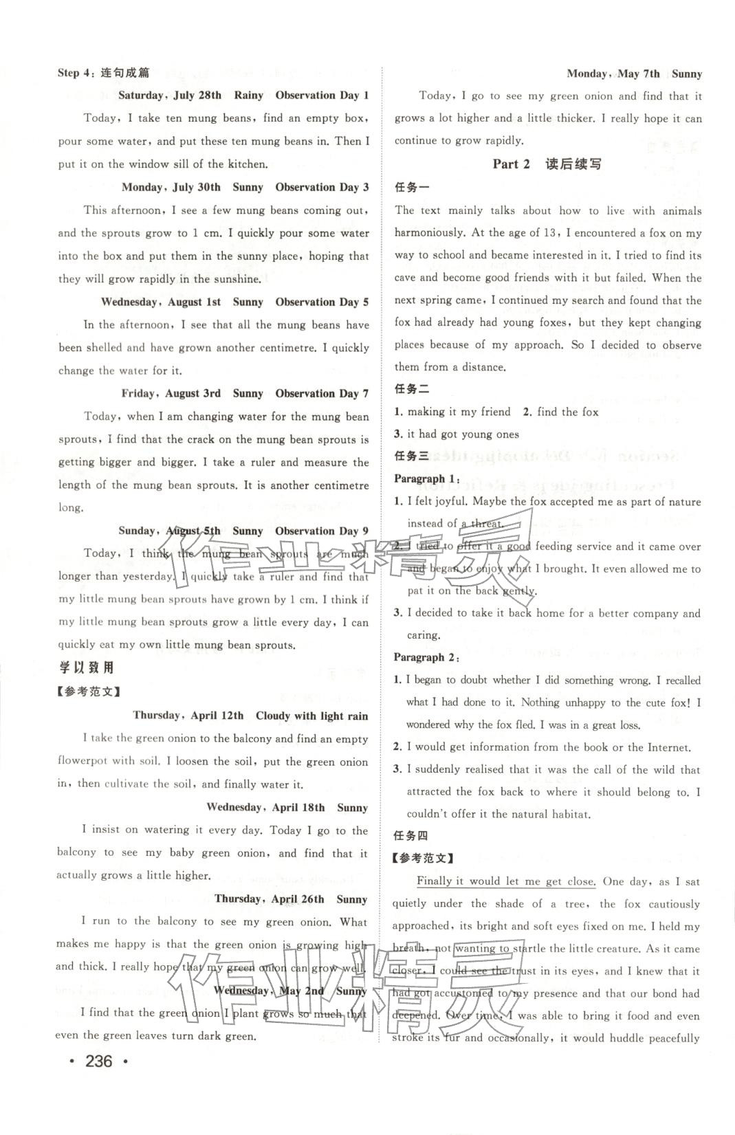 2025年同步练习册山东人民出版社高中英语选择性必修第一册外研版B专版&nbsp;参考答案第14页