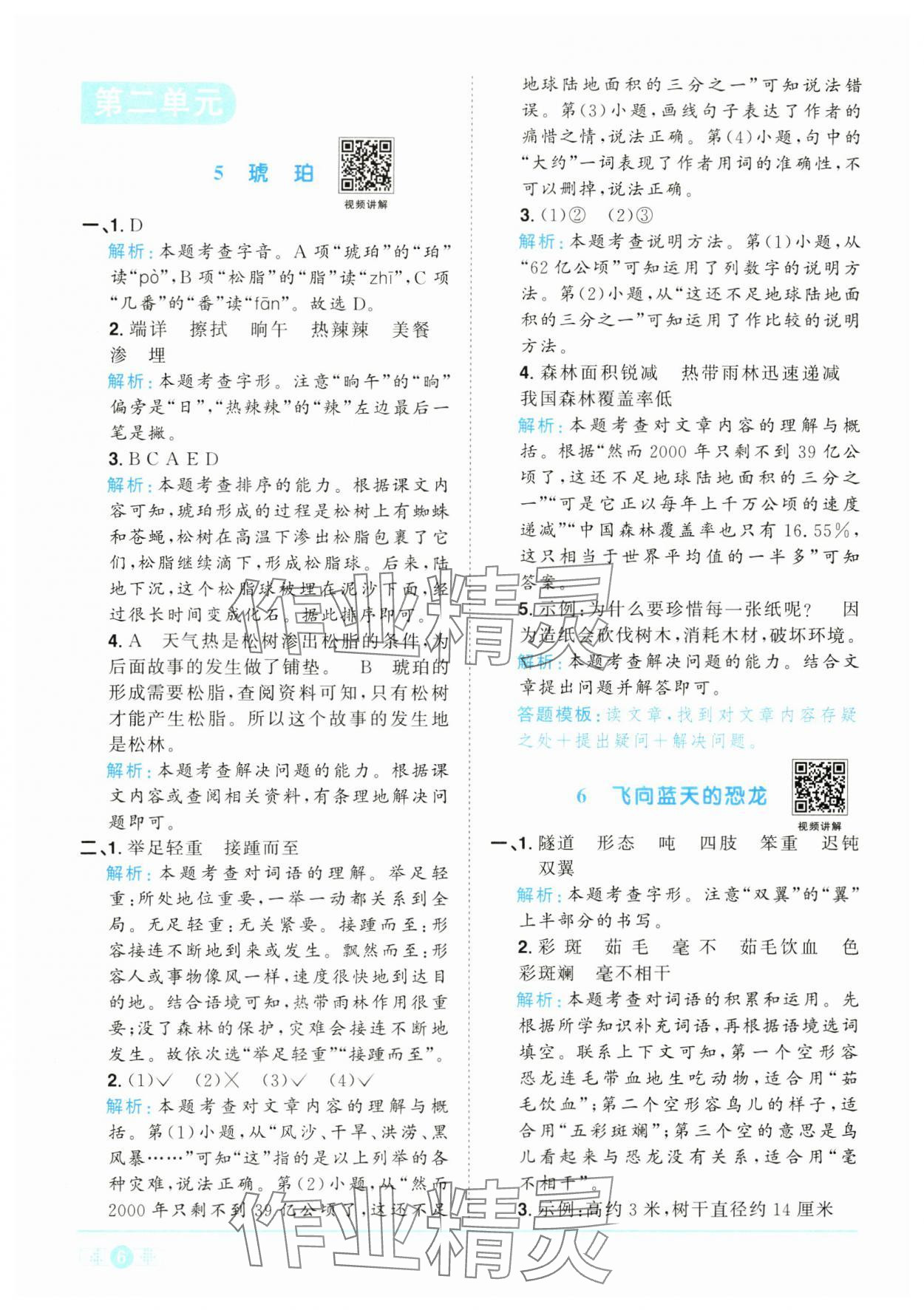 2025年陽(yáng)光同學(xué)課時(shí)全優(yōu)訓(xùn)練四年級(jí)語(yǔ)文下冊(cè)人教版浙江專版 參考答案第6頁(yè)