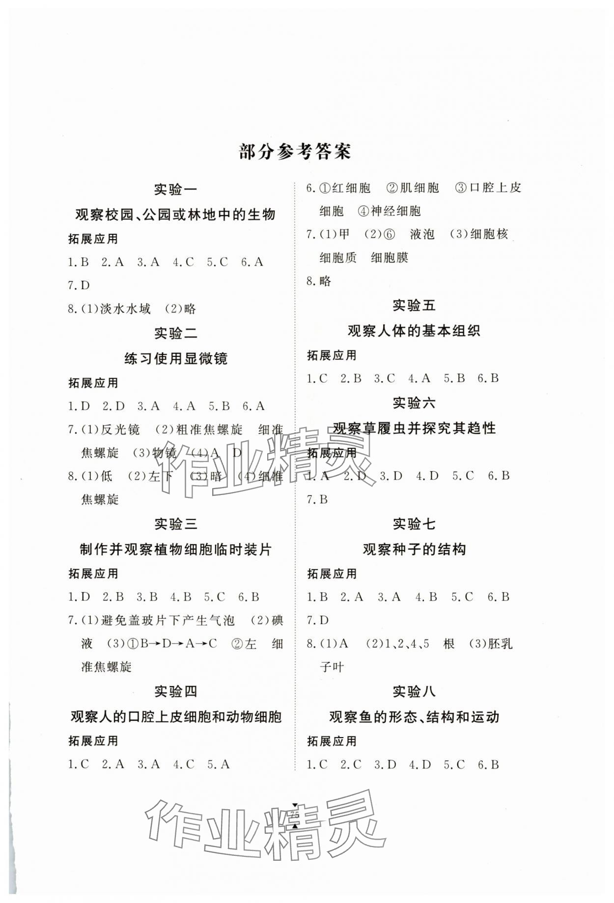 2025年实验报告册江西教育出版社七年级生物上册人教版 第1页