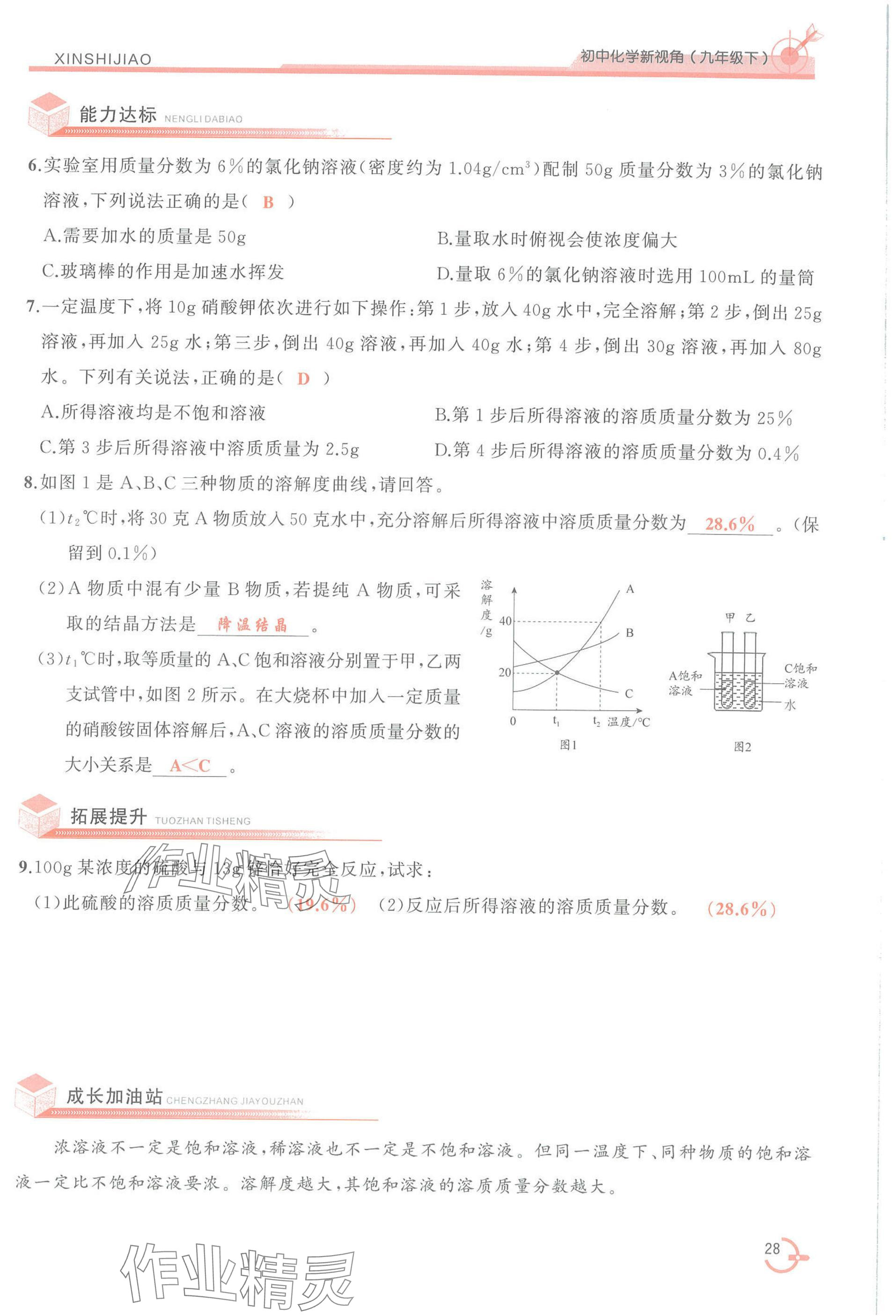2025年新視角教輔系列叢書化學(xué)九年級下冊人教版 參考答案第28頁