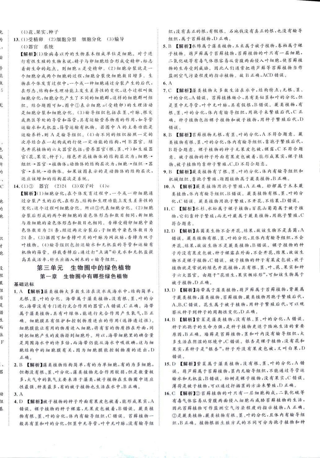 2024年高分計(jì)劃生物 第16頁