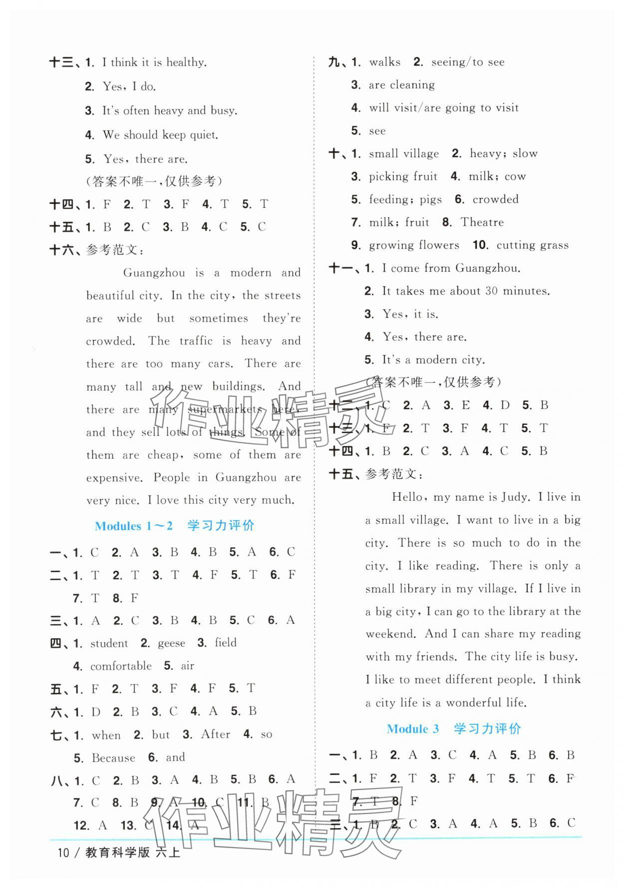 2025年陽光同學(xué)課時(shí)優(yōu)化作業(yè)六年級(jí)英語上冊教科版廣州專版 第10頁
