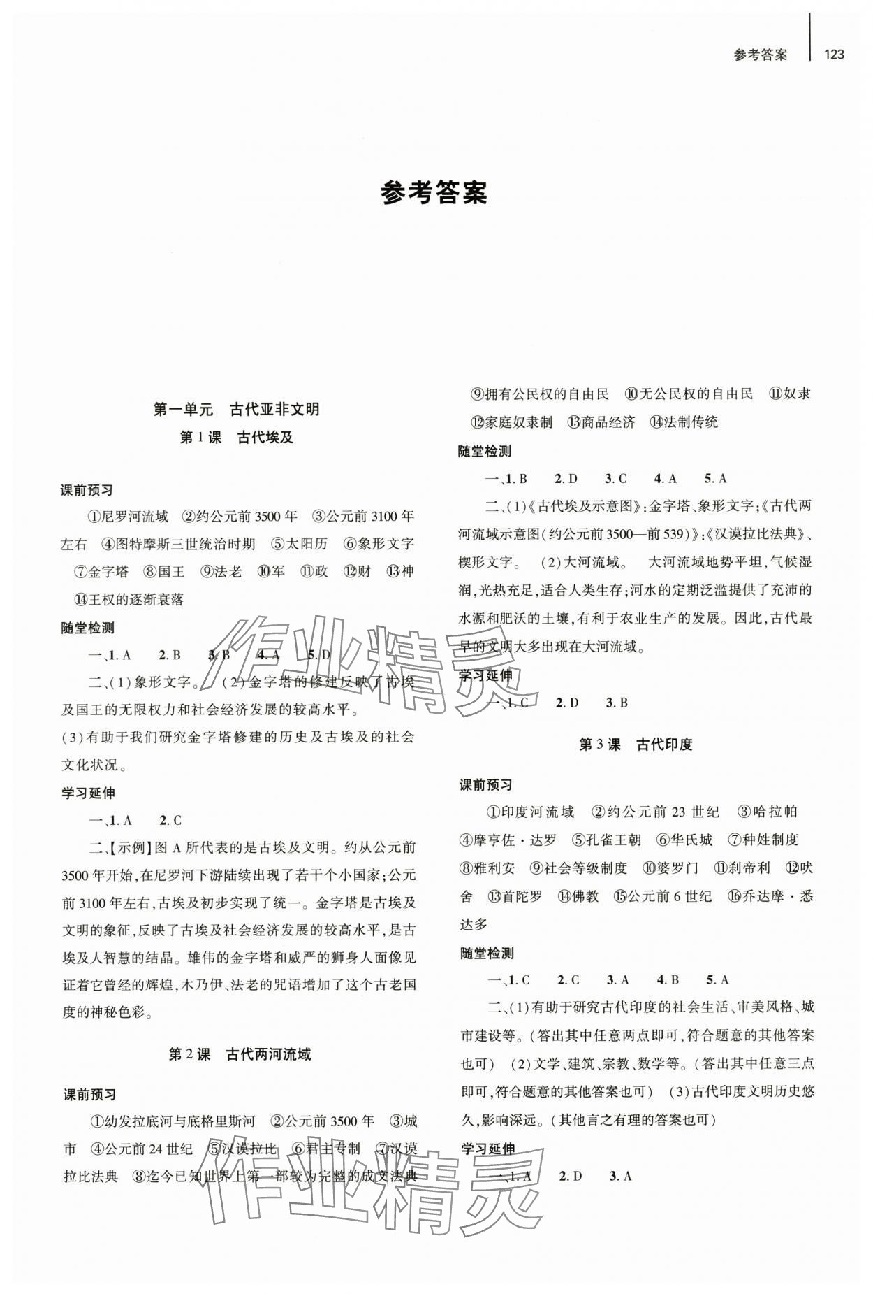 2025年同步练习册大象出版社九年级历史上册人教版 第1页