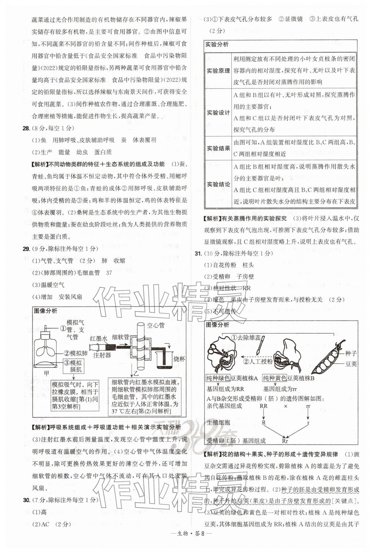 2026年天利38套新课标全国中考试题精选生物 第8页