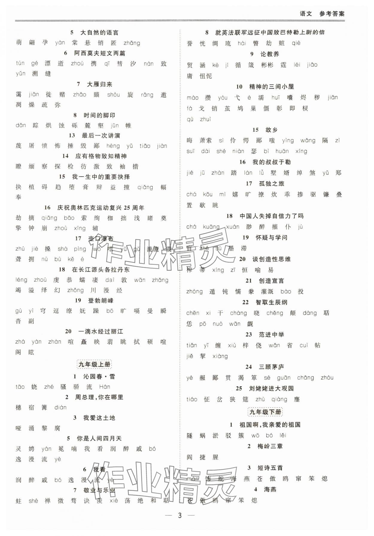 2024年新課標(biāo)中考寶典語(yǔ)文深圳專用 第3頁(yè)