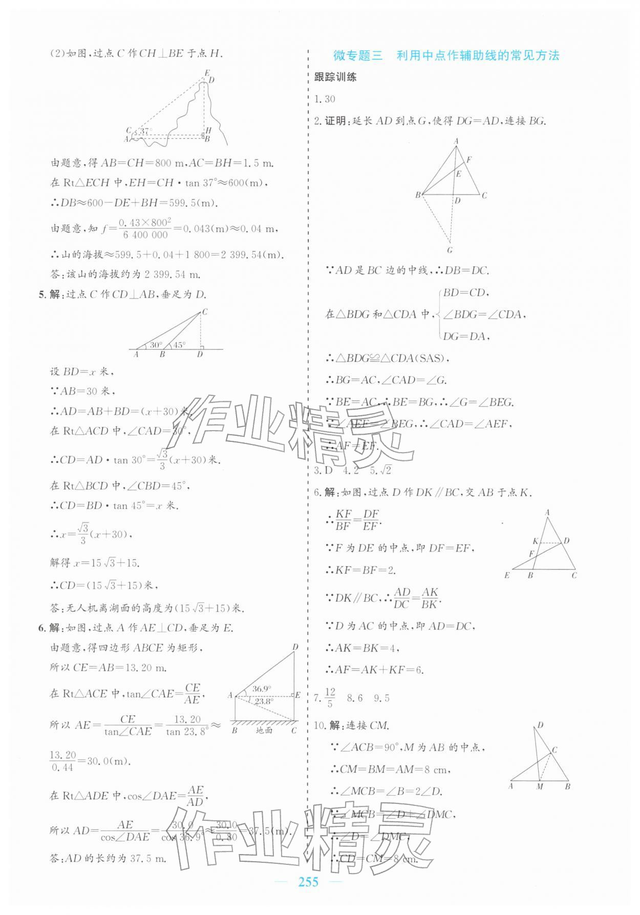 2026年点金考案数学中考&nbsp;参考答案第19页