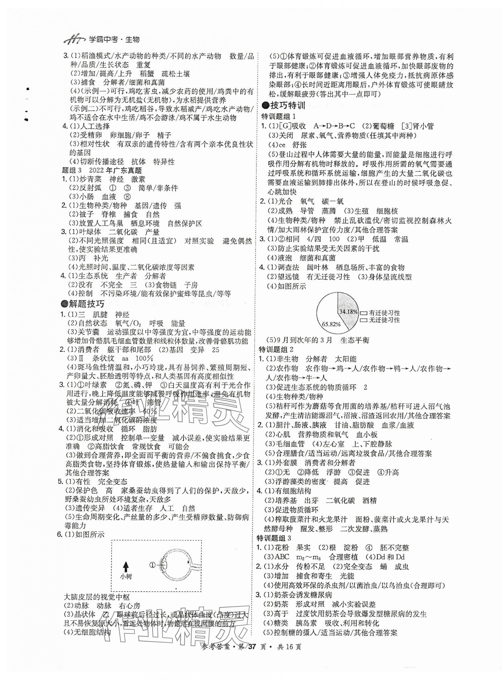 2025年翰庭學霸生物廣東專版 第13頁