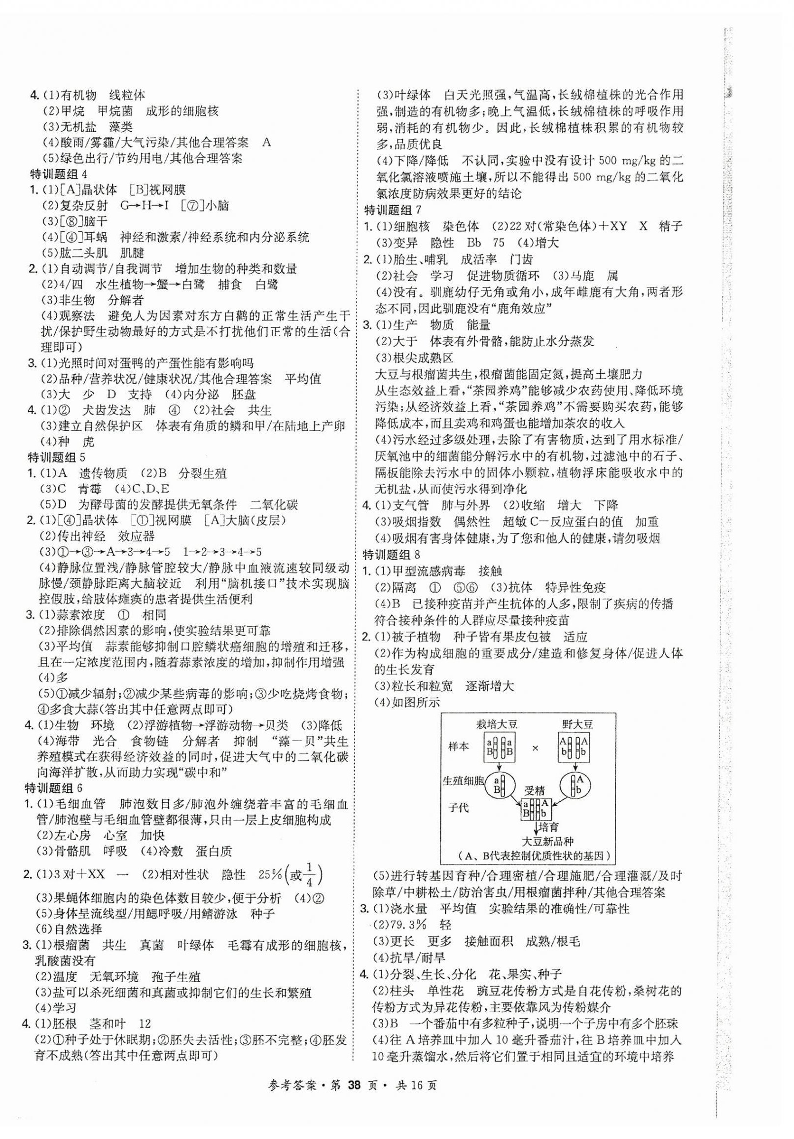 2025年翰庭學(xué)霸生物廣東專版 第14頁