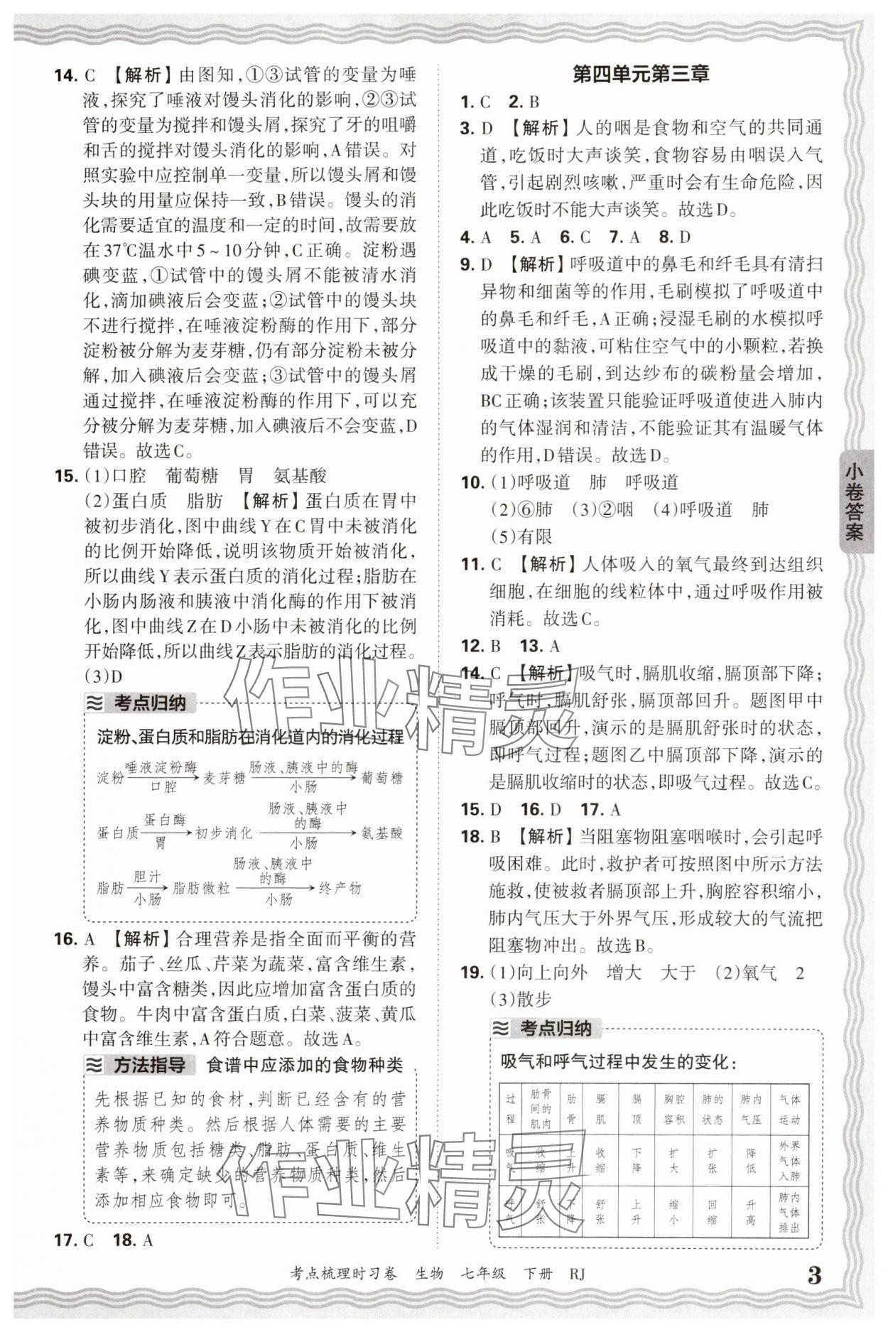2025年王朝霞考点梳理时习卷七年级生物下册人教版 第3页