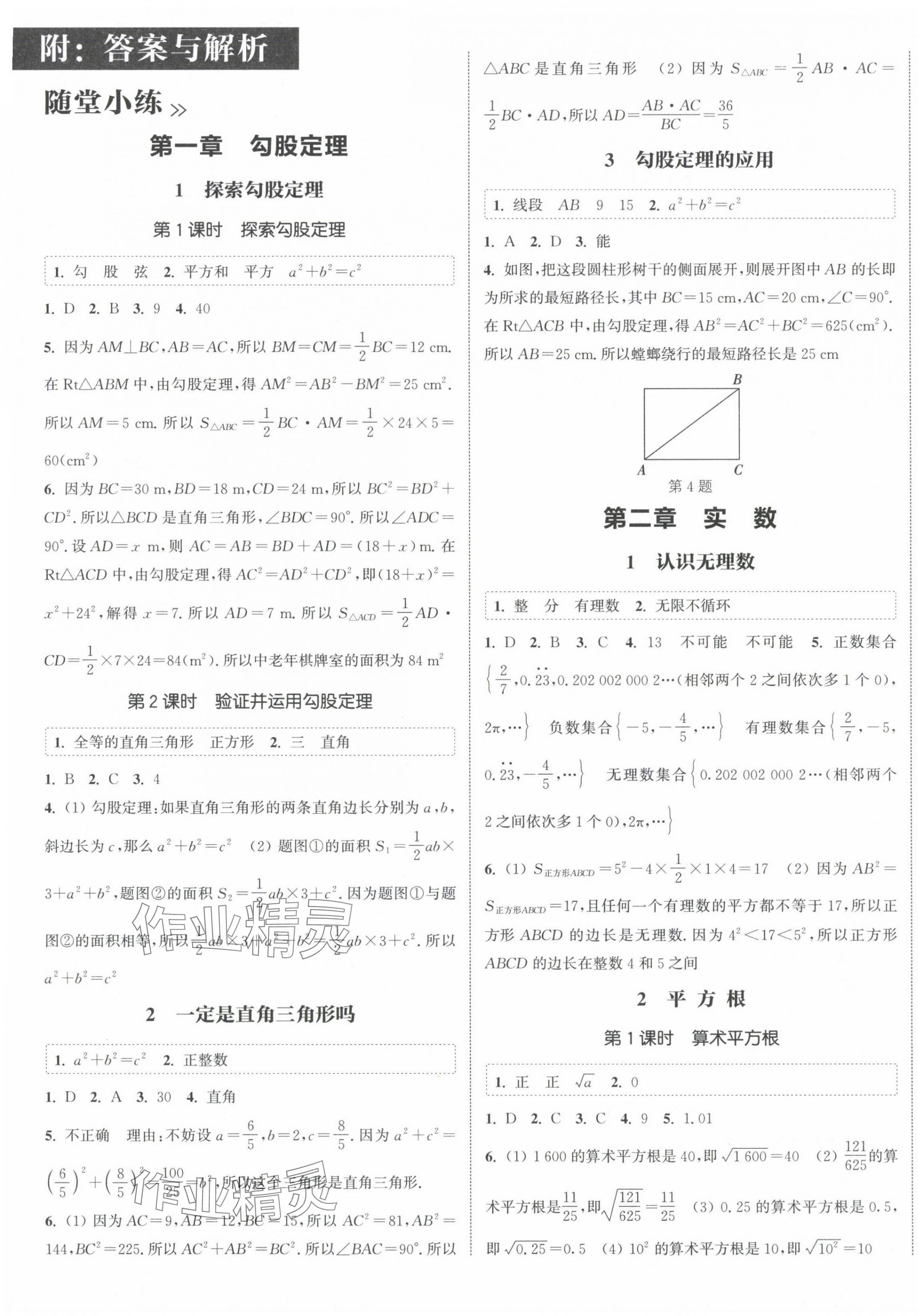 2024年通城学典课时作业本八年级数学上册北师大版 第1页