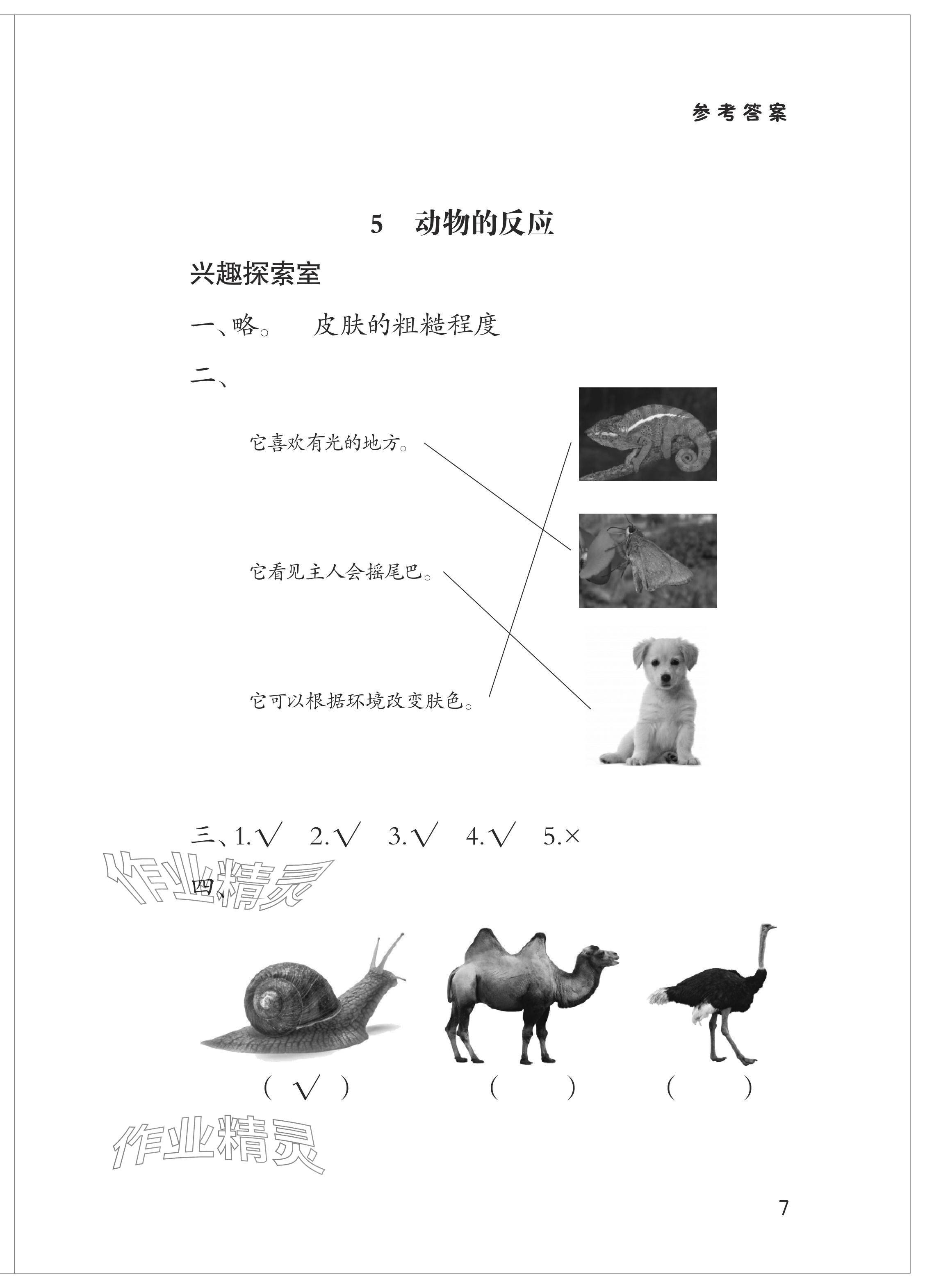 2024年新課堂學習與探究一年級科學下冊青島版 參考答案第7頁