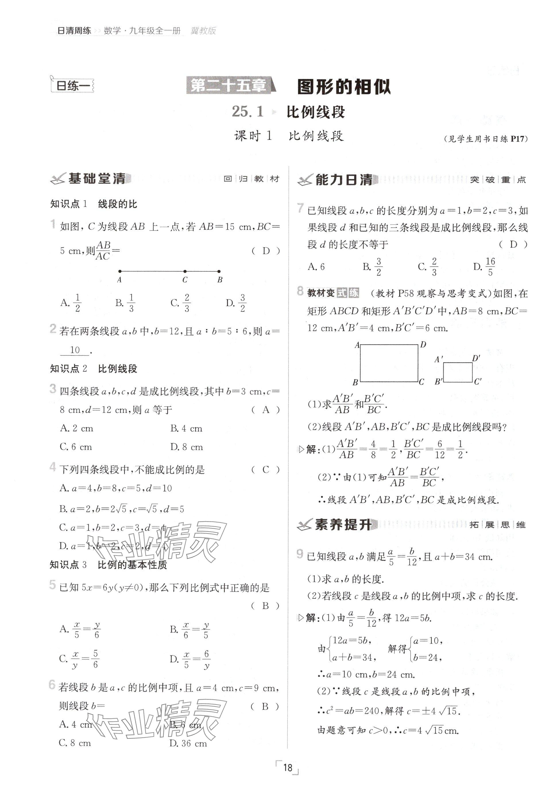 2024年日清周練九年級(jí)數(shù)學(xué)全一冊(cè)冀教版 參考答案第18頁(yè)