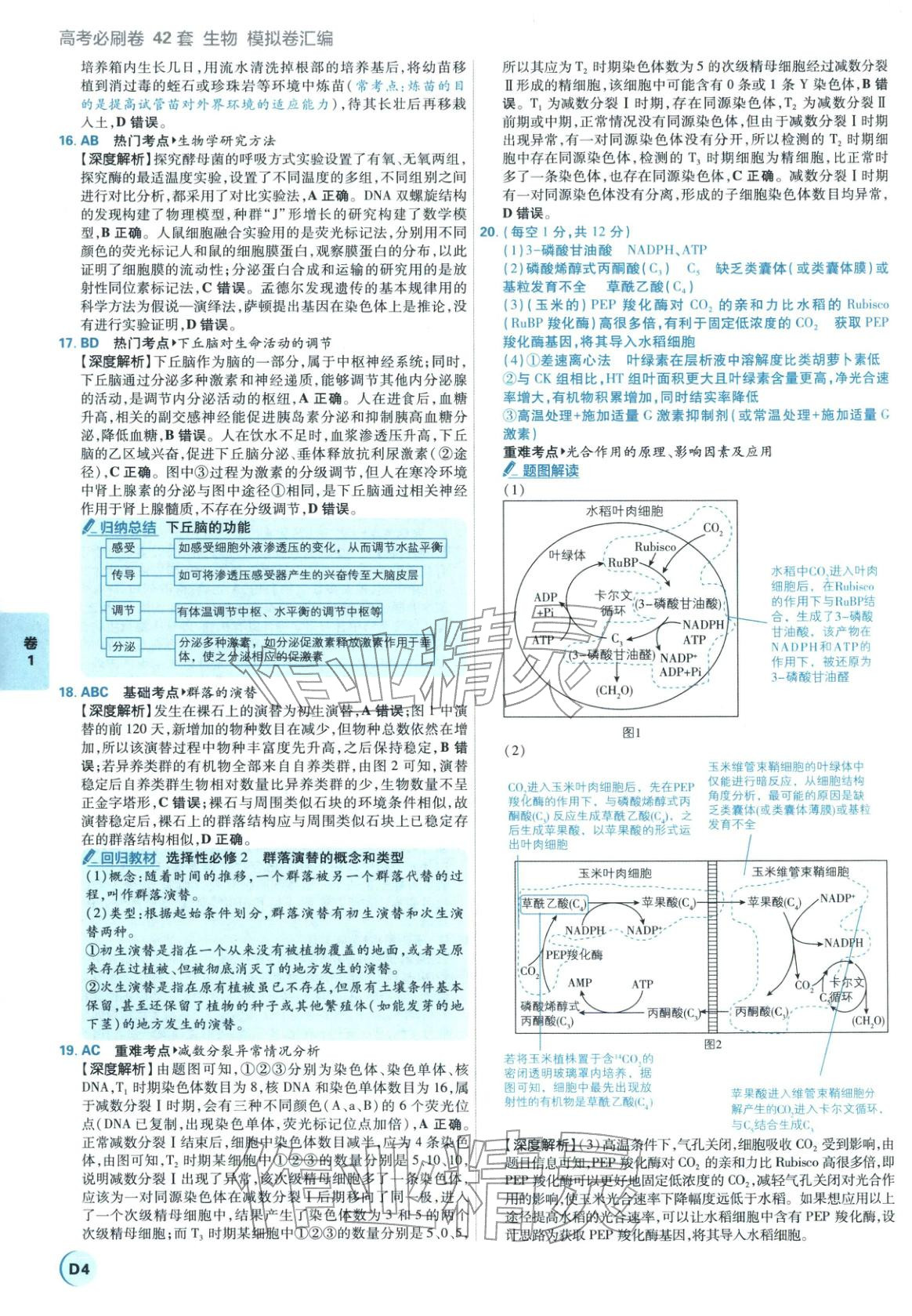 2026年理想樹圖書高考必刷卷42套模擬卷匯編高中生物全一冊通用版江蘇專版 第4頁