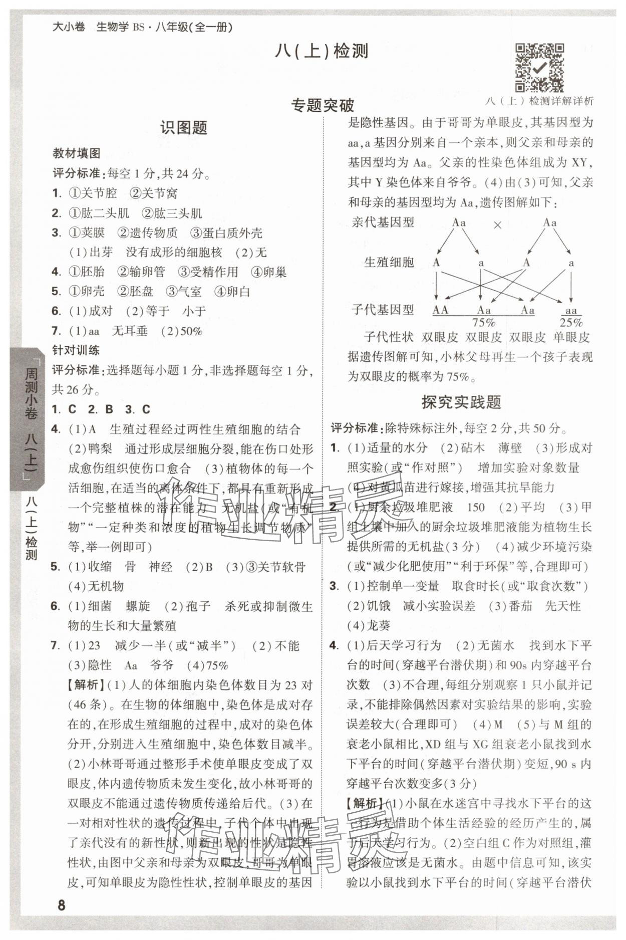 2025年萬唯中考大小卷八年級生物全一冊北師大版 參考答案第8頁