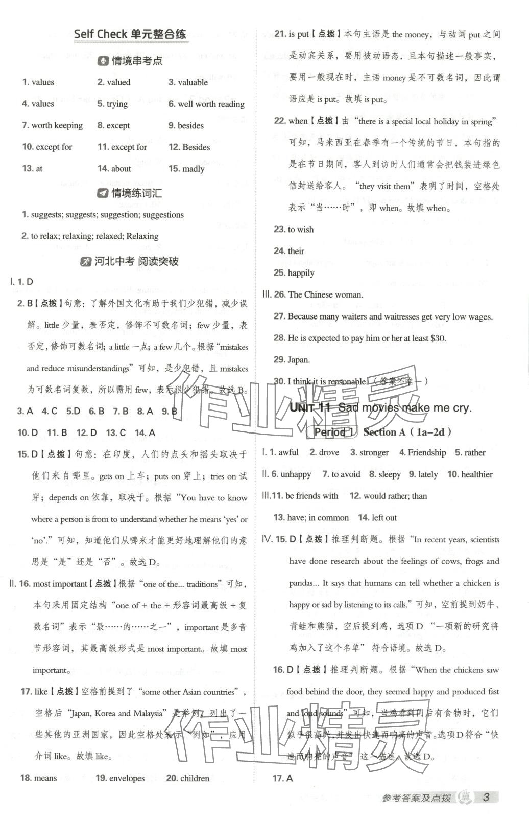 2025年点拨训练九年级英语下册人教版河北专版 第3页
